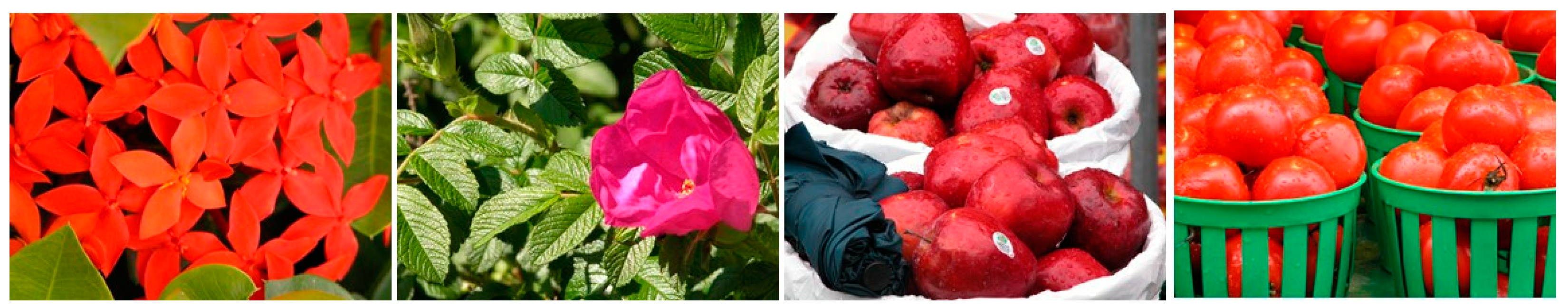 Sensors 21 02740 g004