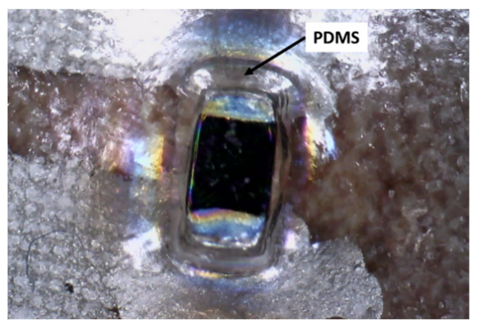 Sensors 21 02741 g005