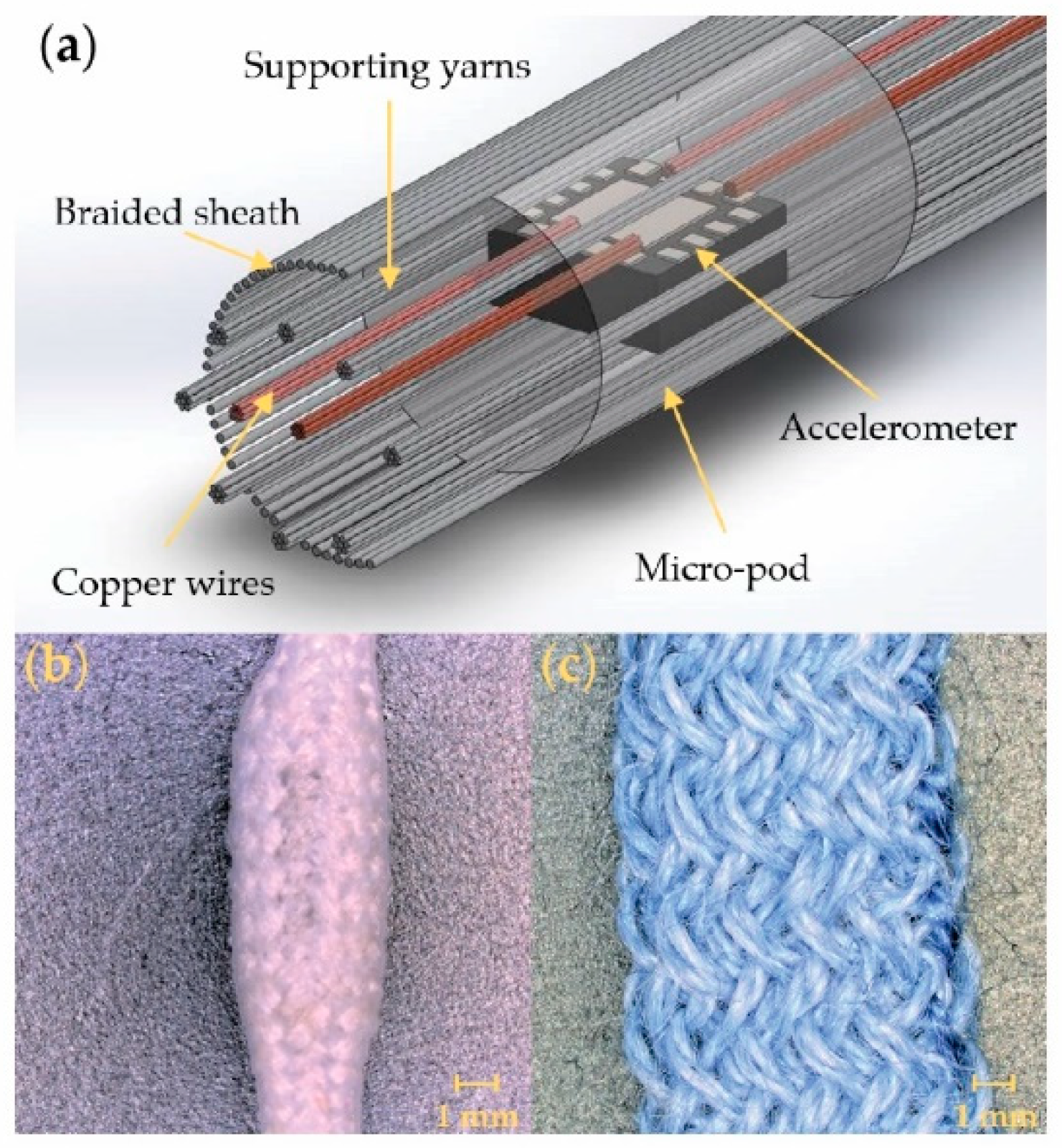 Sensors 21 02780 g001 Sensors 21 02780 g001