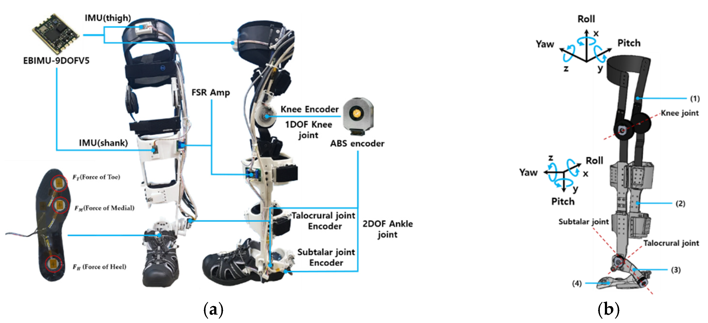 Robust estimation of vertical symmetry axis models via joint