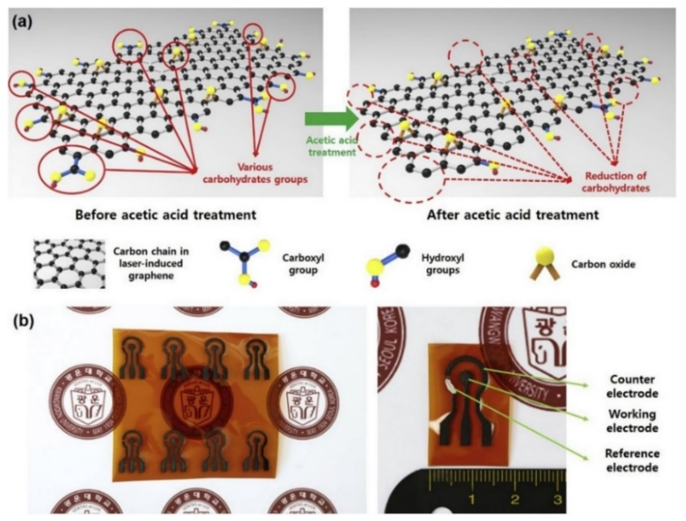 Sensors 21 02818 g006