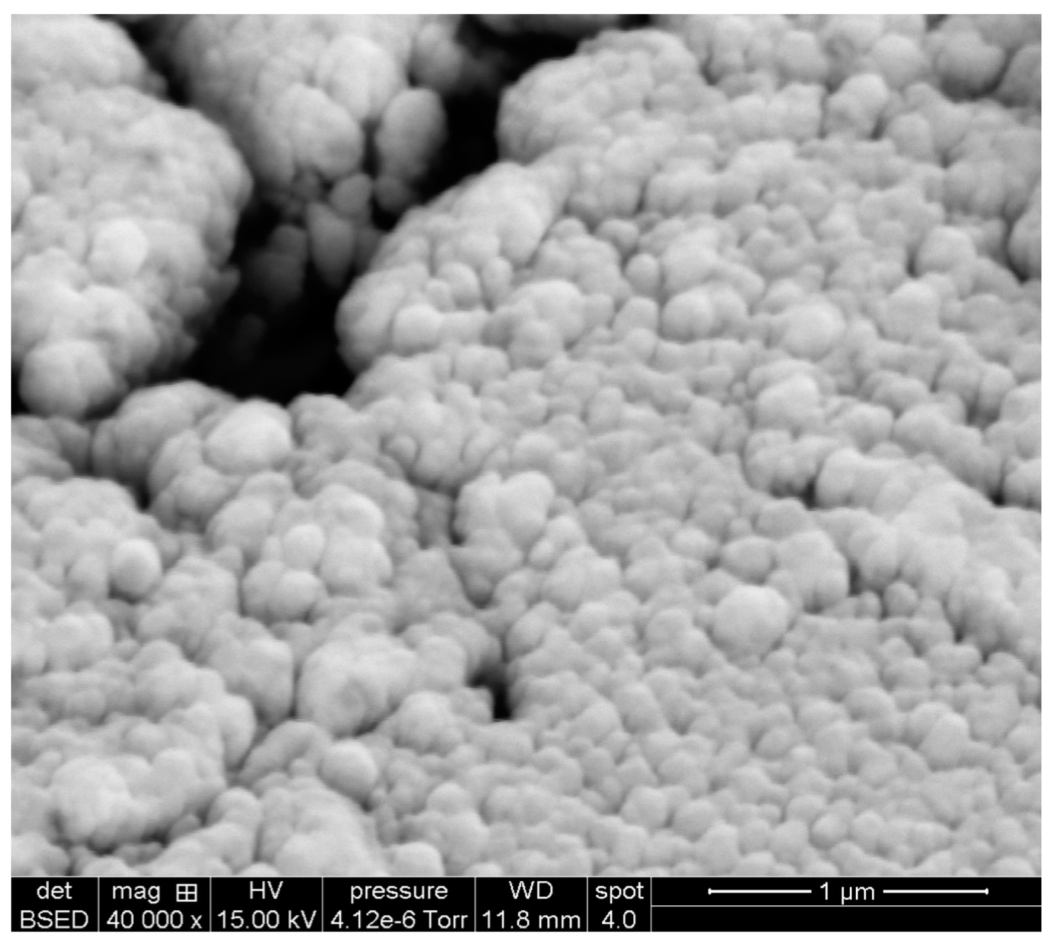 Sensors Free Full Text Sensor Based On A Poly 2 Dimethylamino Ethyl Methacrylate Co Styrene Gold Nanoparticles And Methylene Blue Modified Glassy Carbon Electrode For Melamine Detection Html Sensors Free Full Text Sensor Based On A Poly 2 Dimethylamino Ethyl Methacrylate Co Styrene Gold Nanoparticles And Methylene Blue Modified Glassy Carbon Electrode For Melamine Detection Html