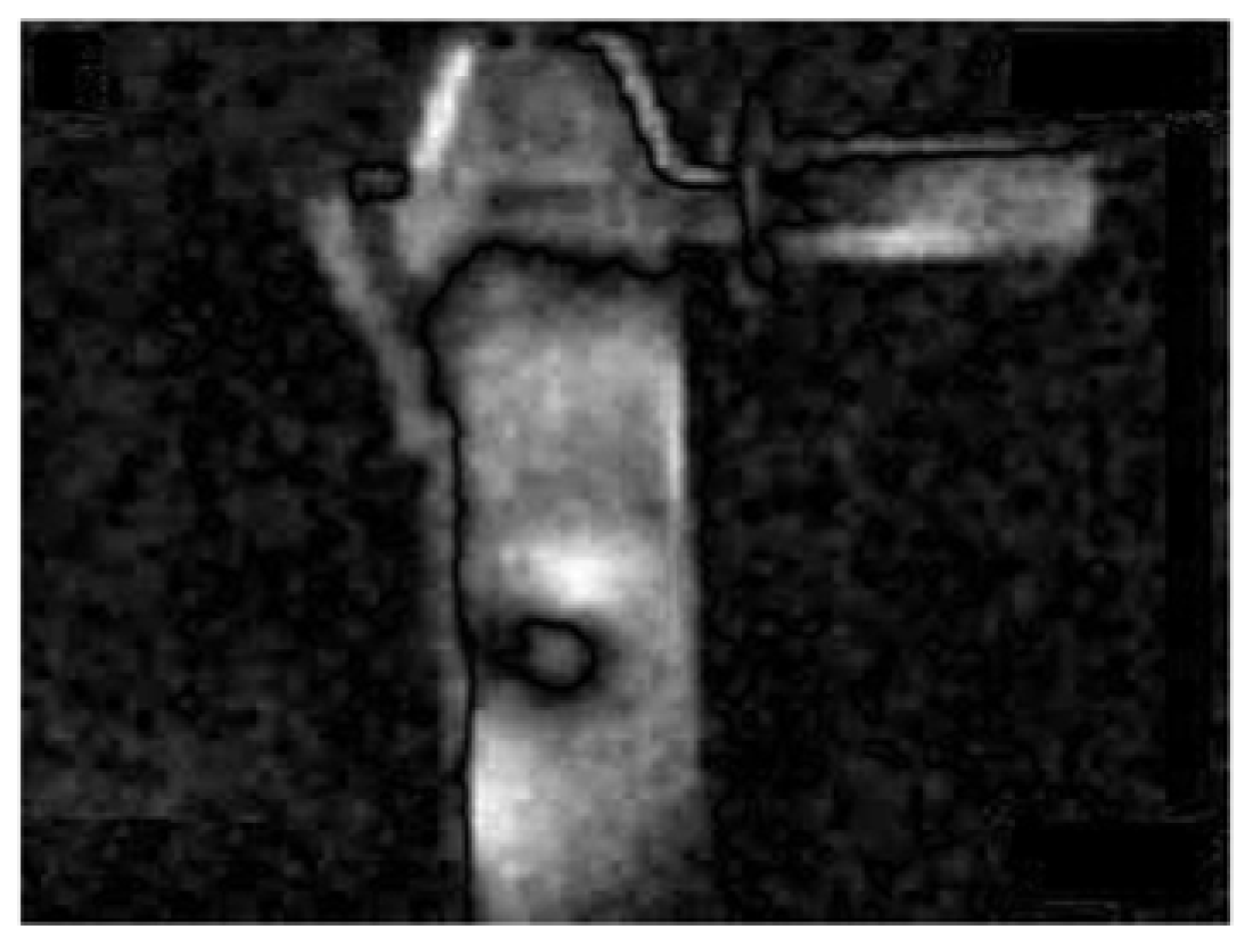 Sensors 21 02853 g008 Sensors 21 02853 g008