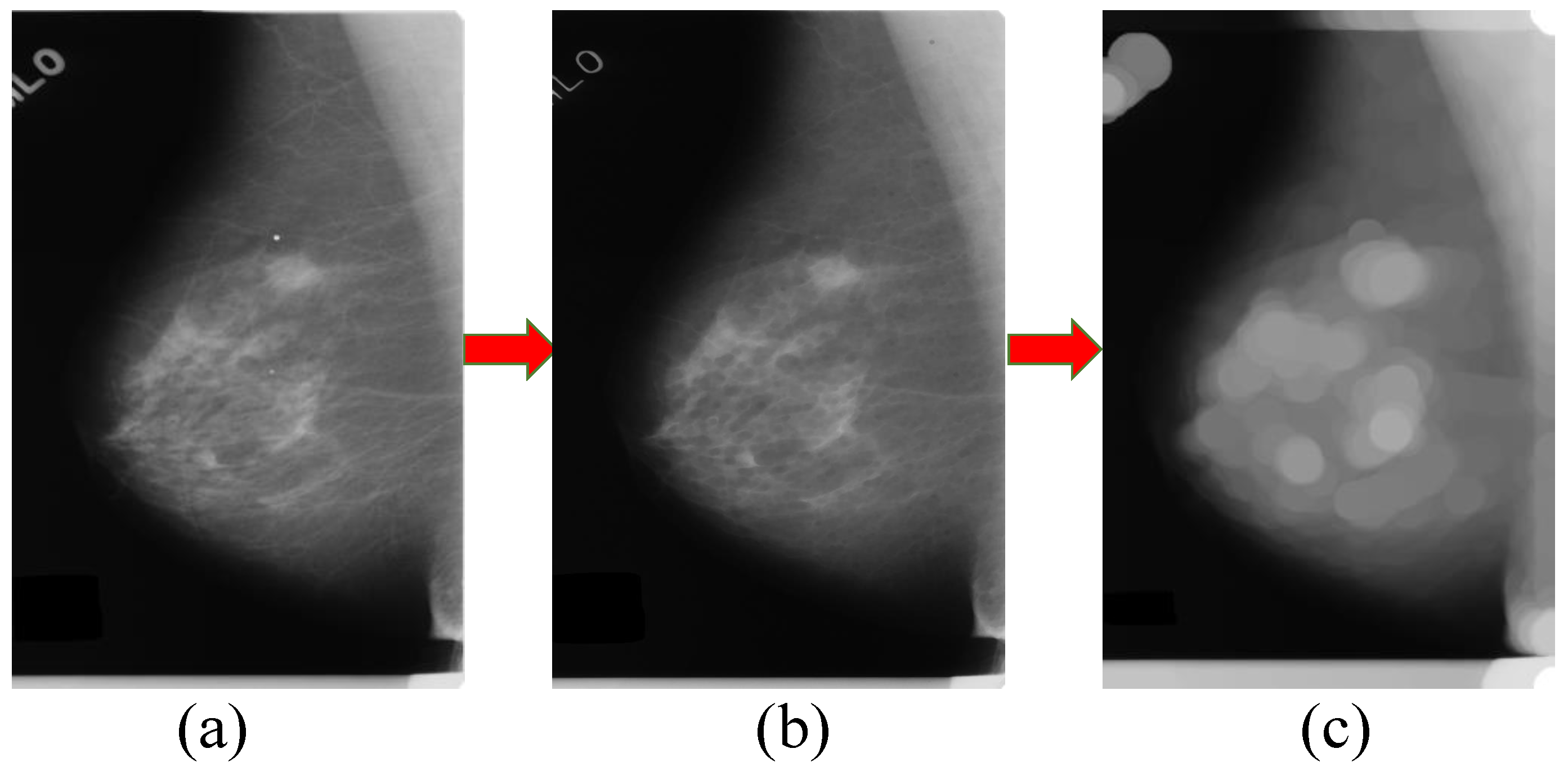 Sensors 21 02855 g006 Sensors 21 02855 g006