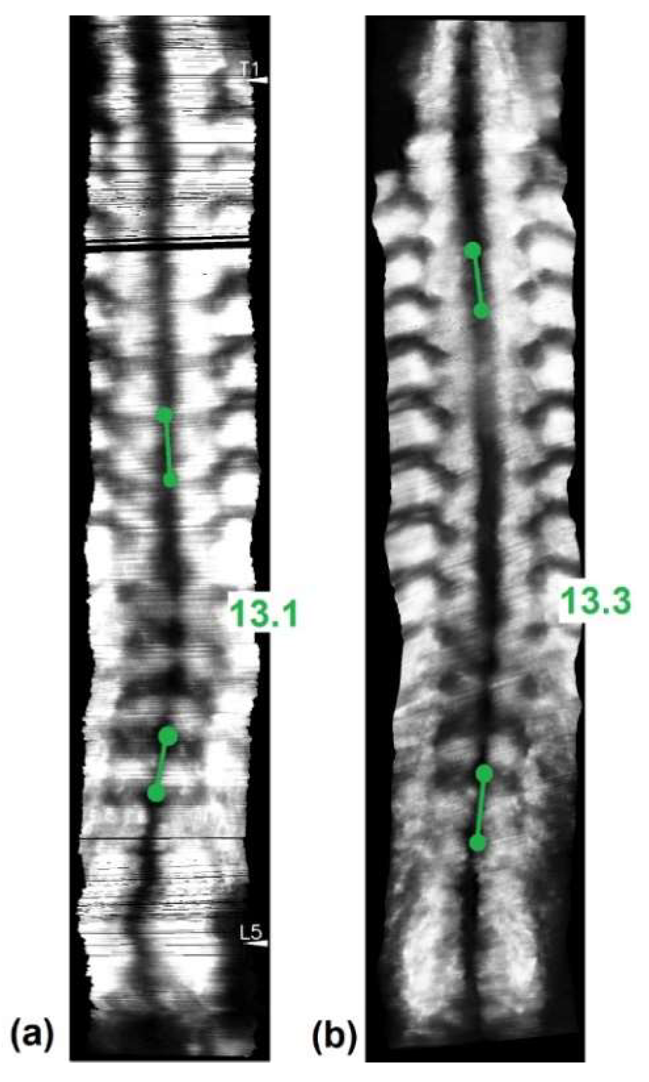 Sensors 21 02858 g005 Sensors 21 02858 g005