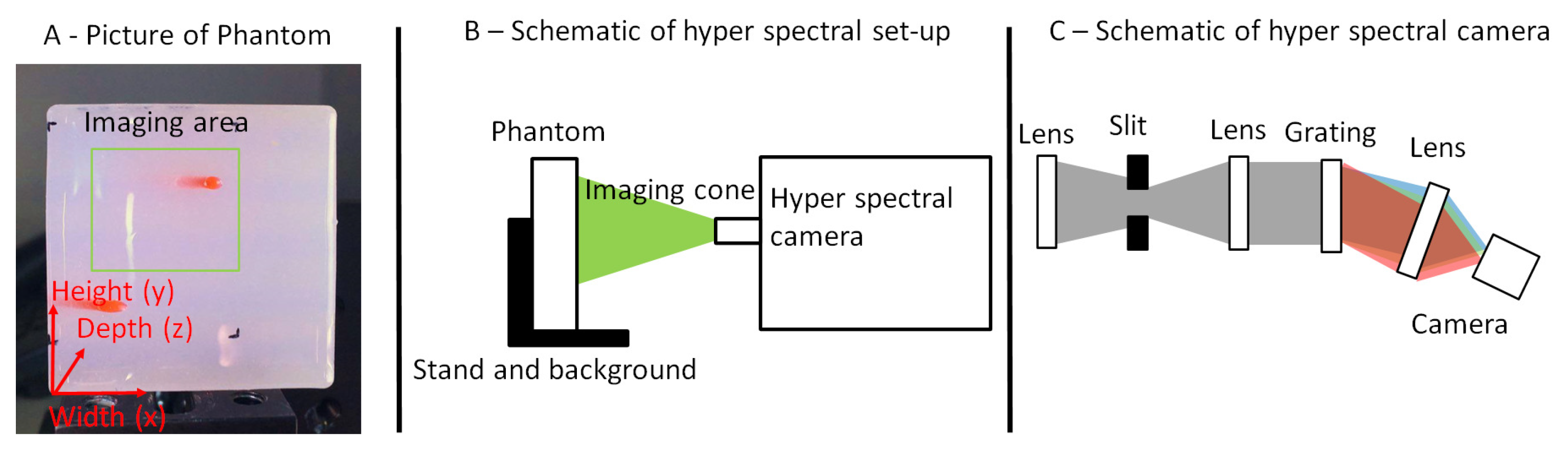 Sensors 21 02860 g001