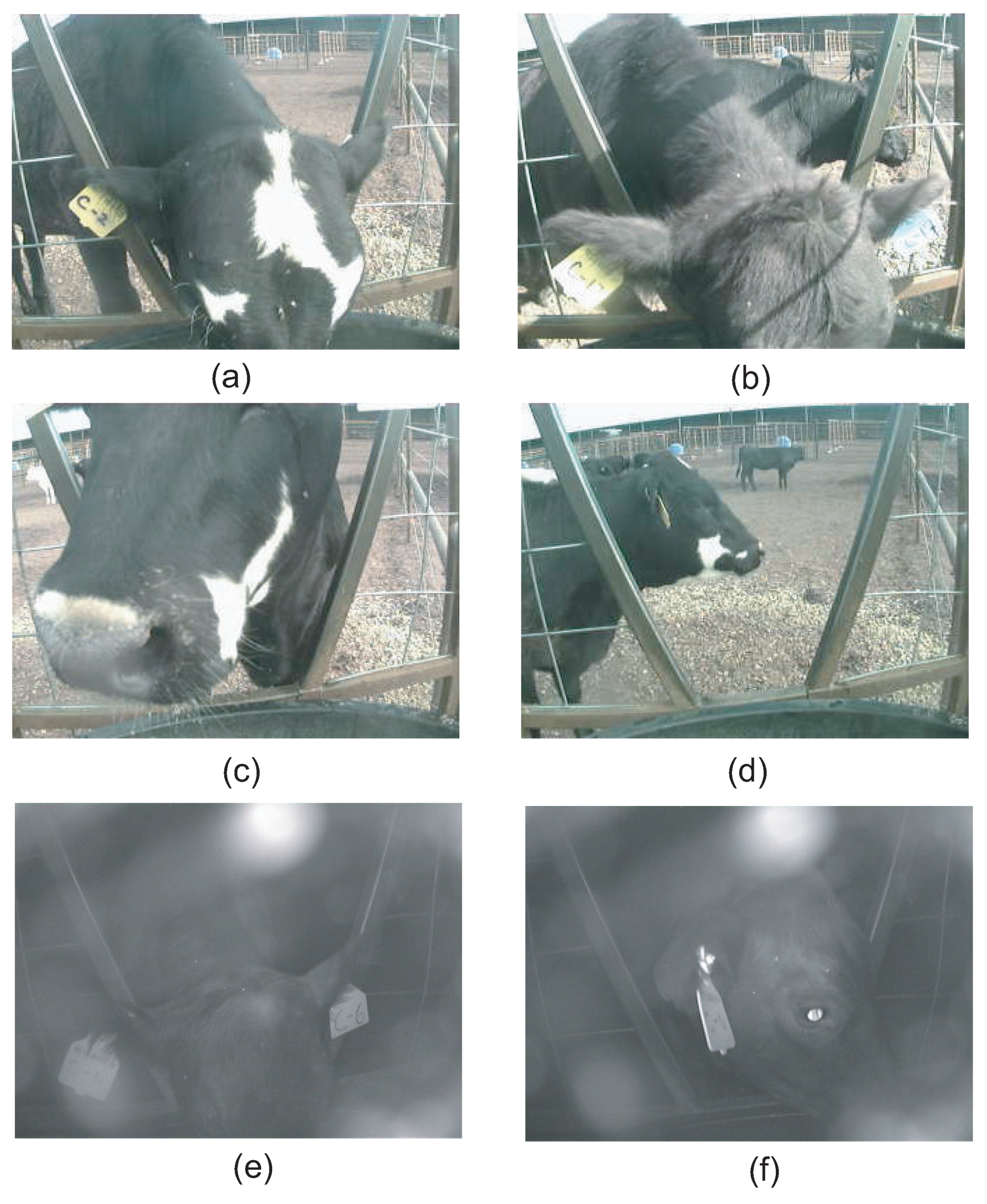 Sensors 21 02885 g016