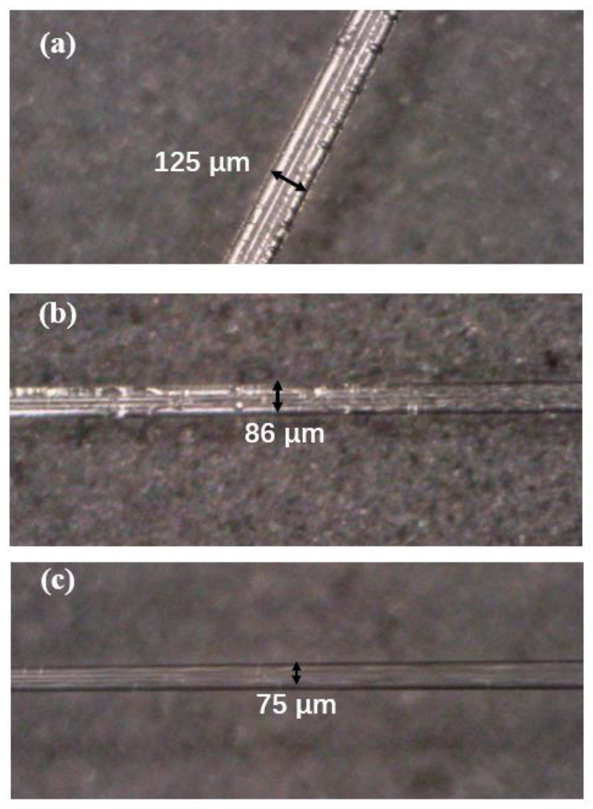 Sensors 21 02892 g002 Sensors 21 02892 g002