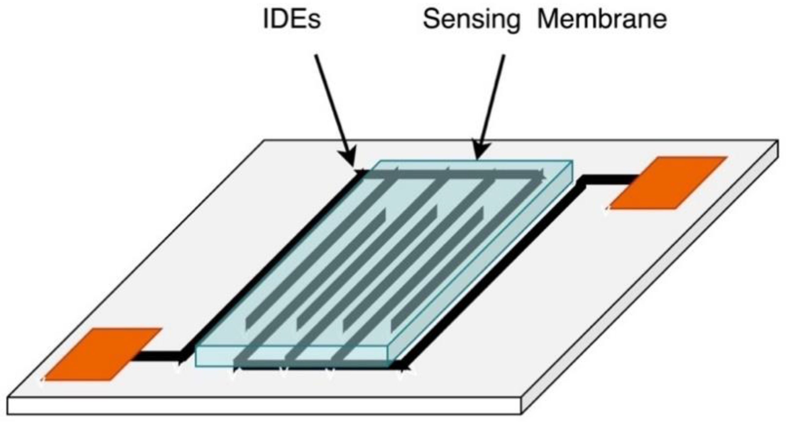 Sensors 21 02908 g013 Sensors 21 02908 g013