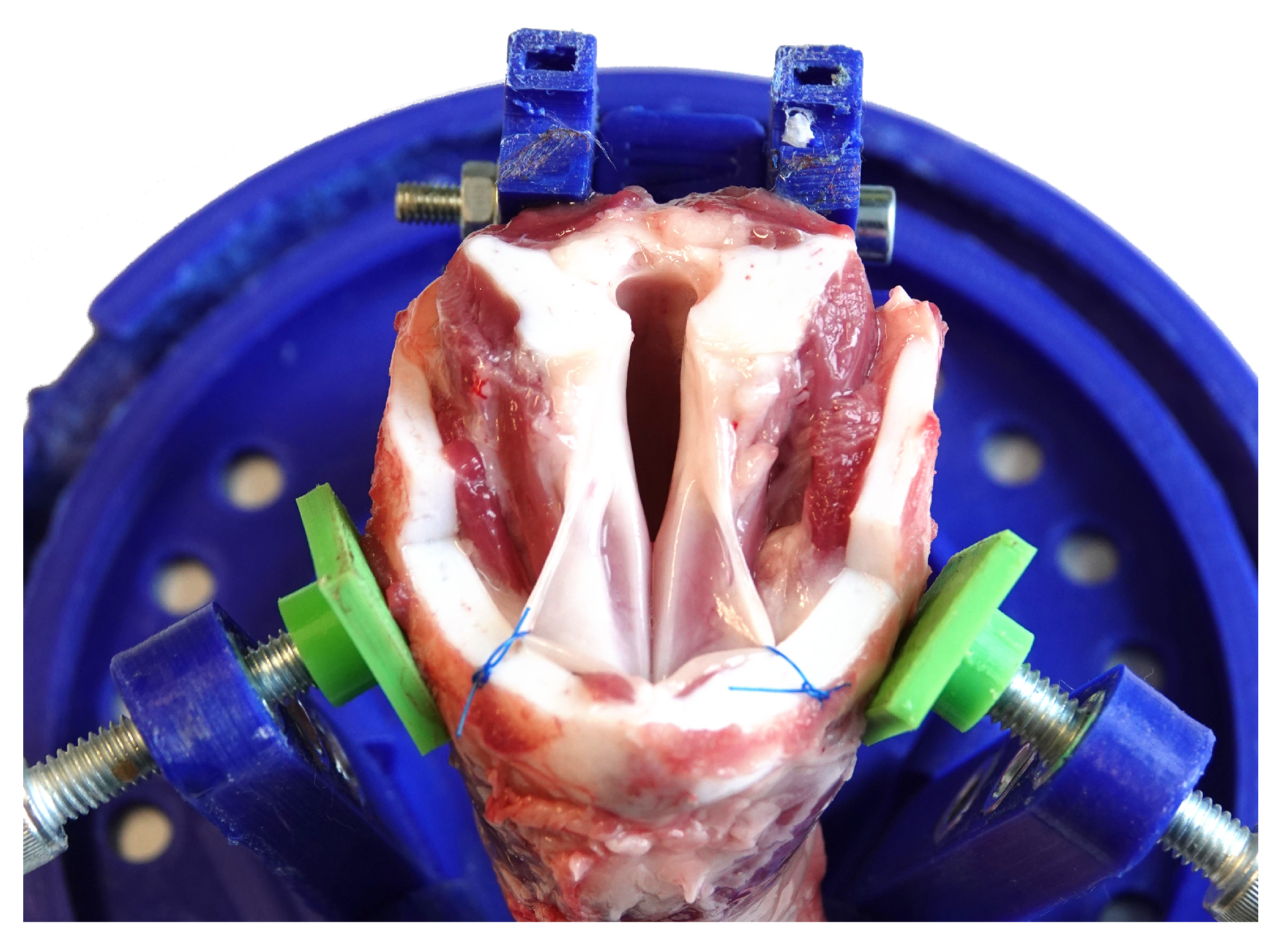 Sensors 21 02923 g002 Sensors 21 02923 g002