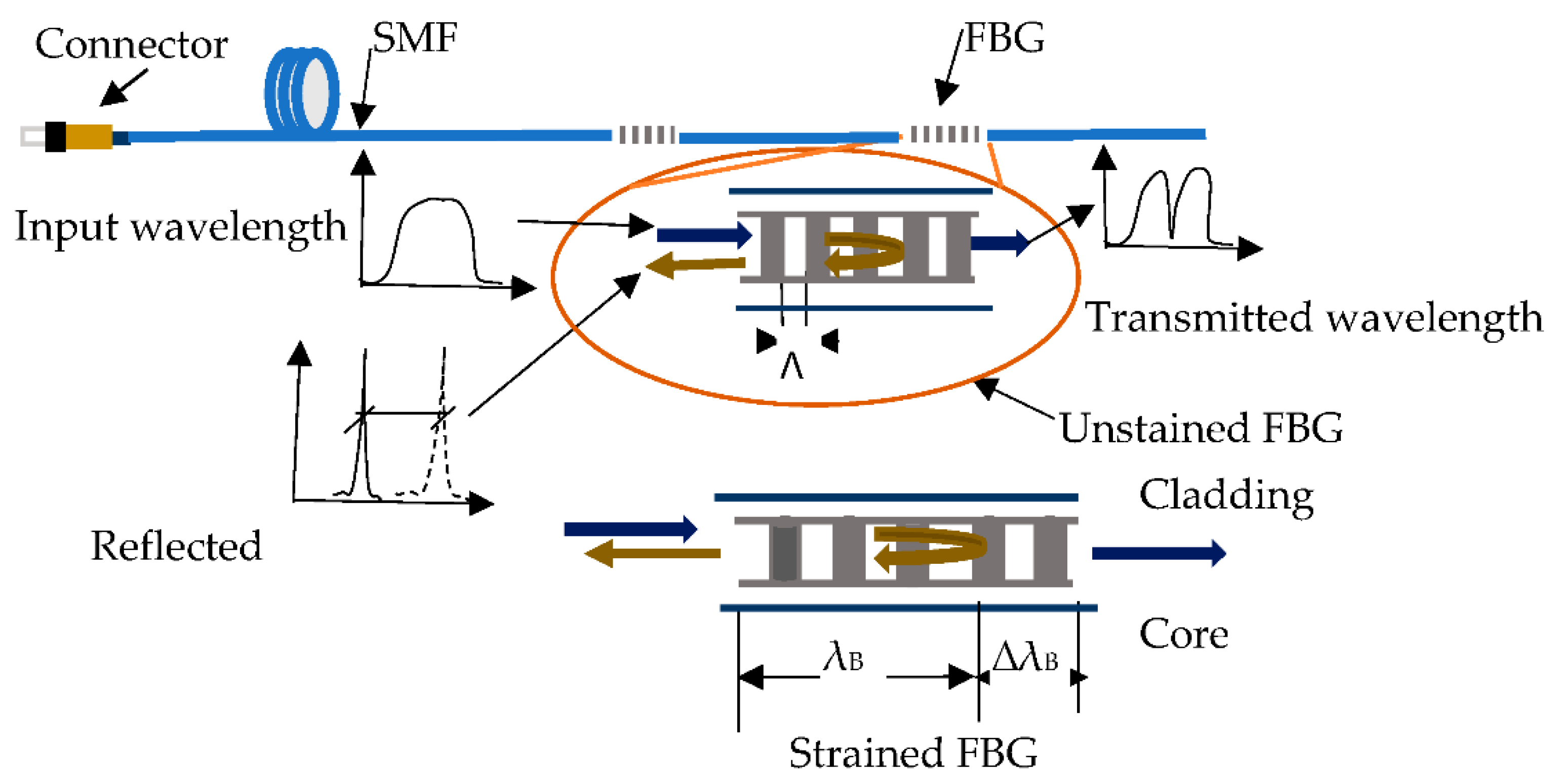 Sensors 21 02926 g001 Sensors 21 02926 g001