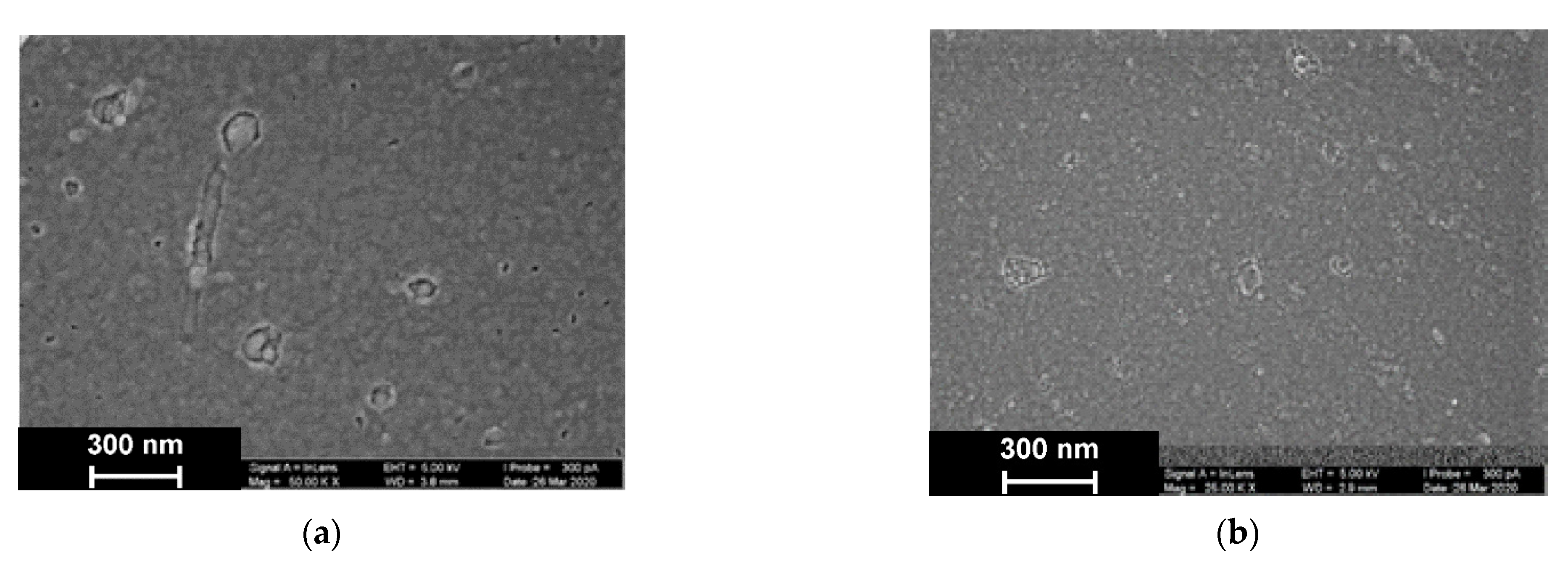 Sensors 21 02949 g009a