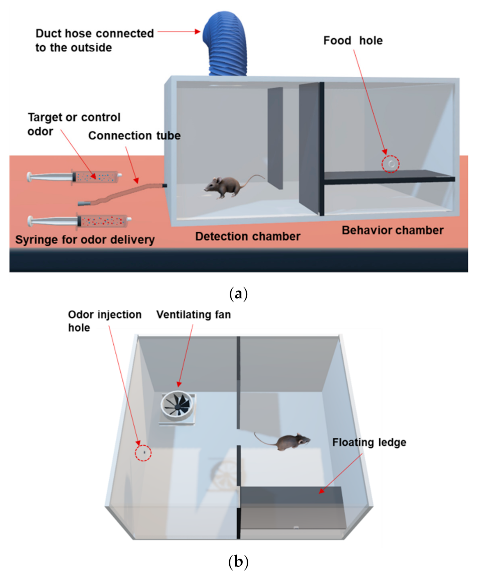 Sensors 21 02967 g002 Sensors 21 02967 g002