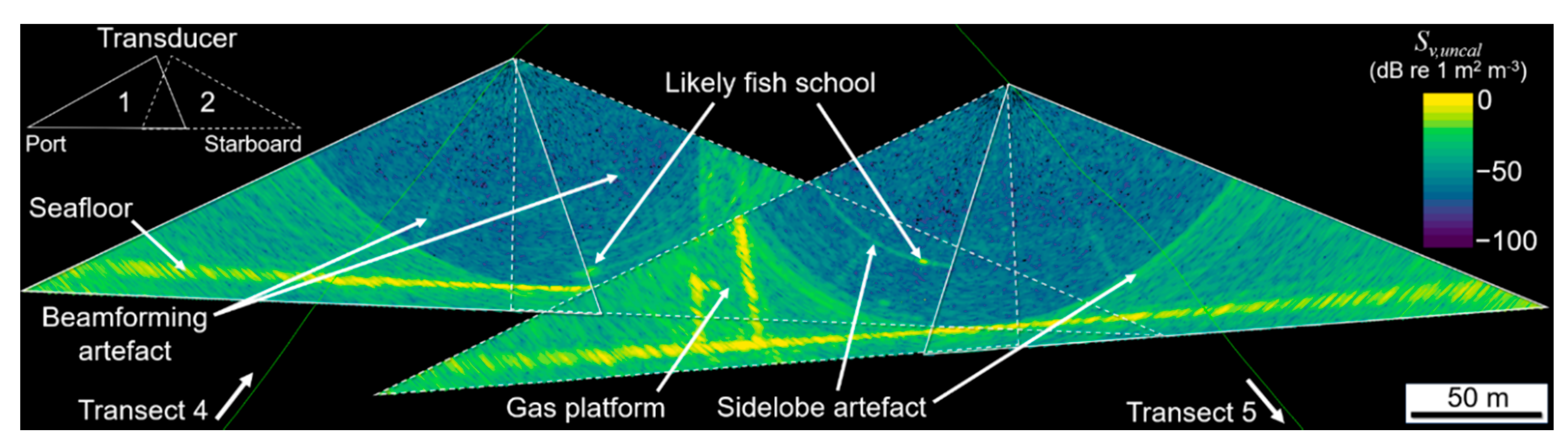 Sensors 21 02999 g004
