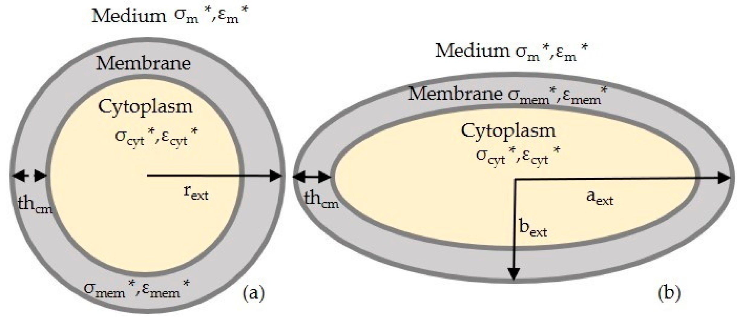 Sensors 21 03007 g001 Sensors 21 03007 g001