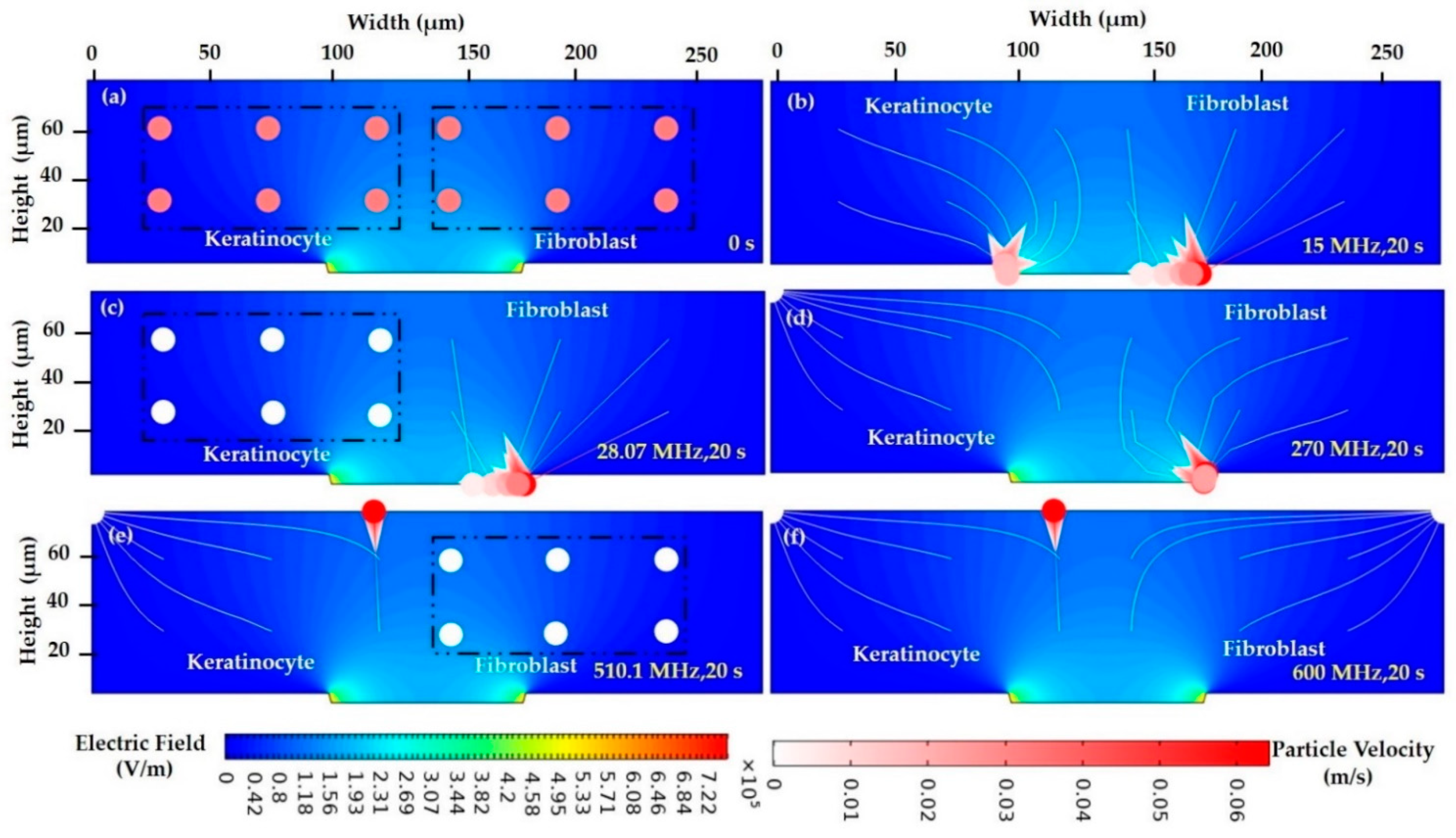 Sensors 21 03007 g011 Sensors 21 03007 g011