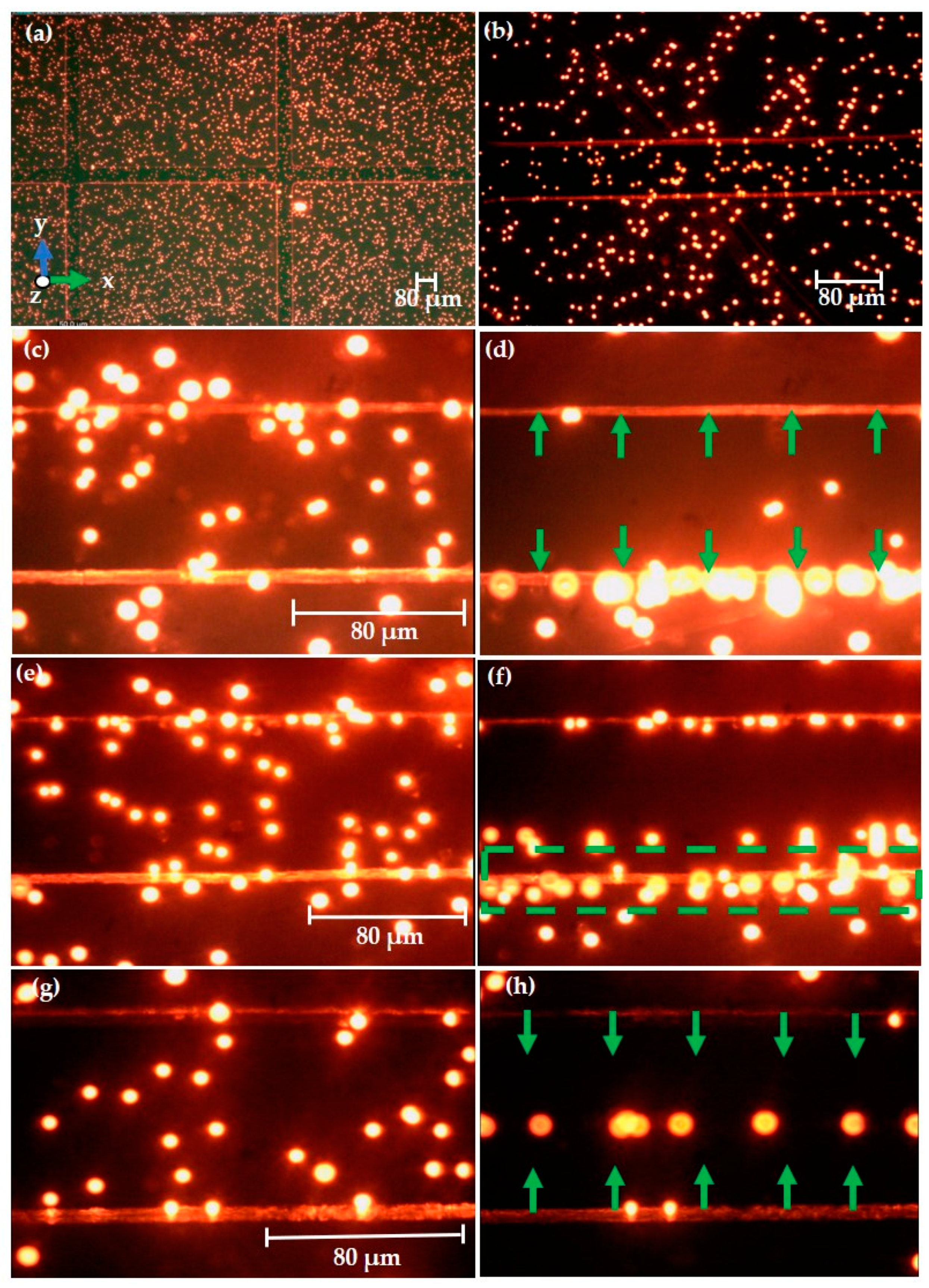 Sensors 21 03007 g013 Sensors 21 03007 g013