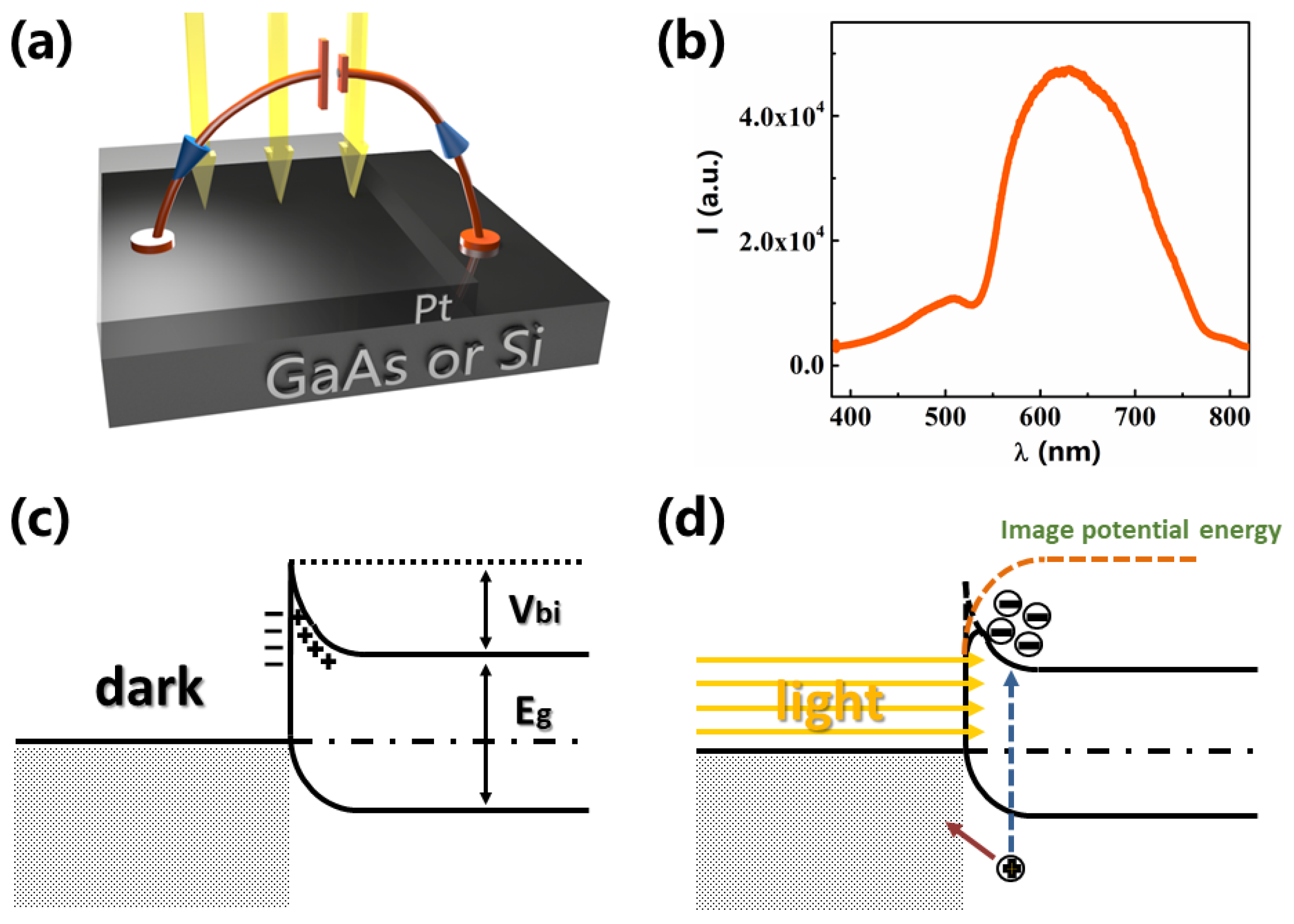 Sensors 21 03009 g001 Sensors 21 03009 g001