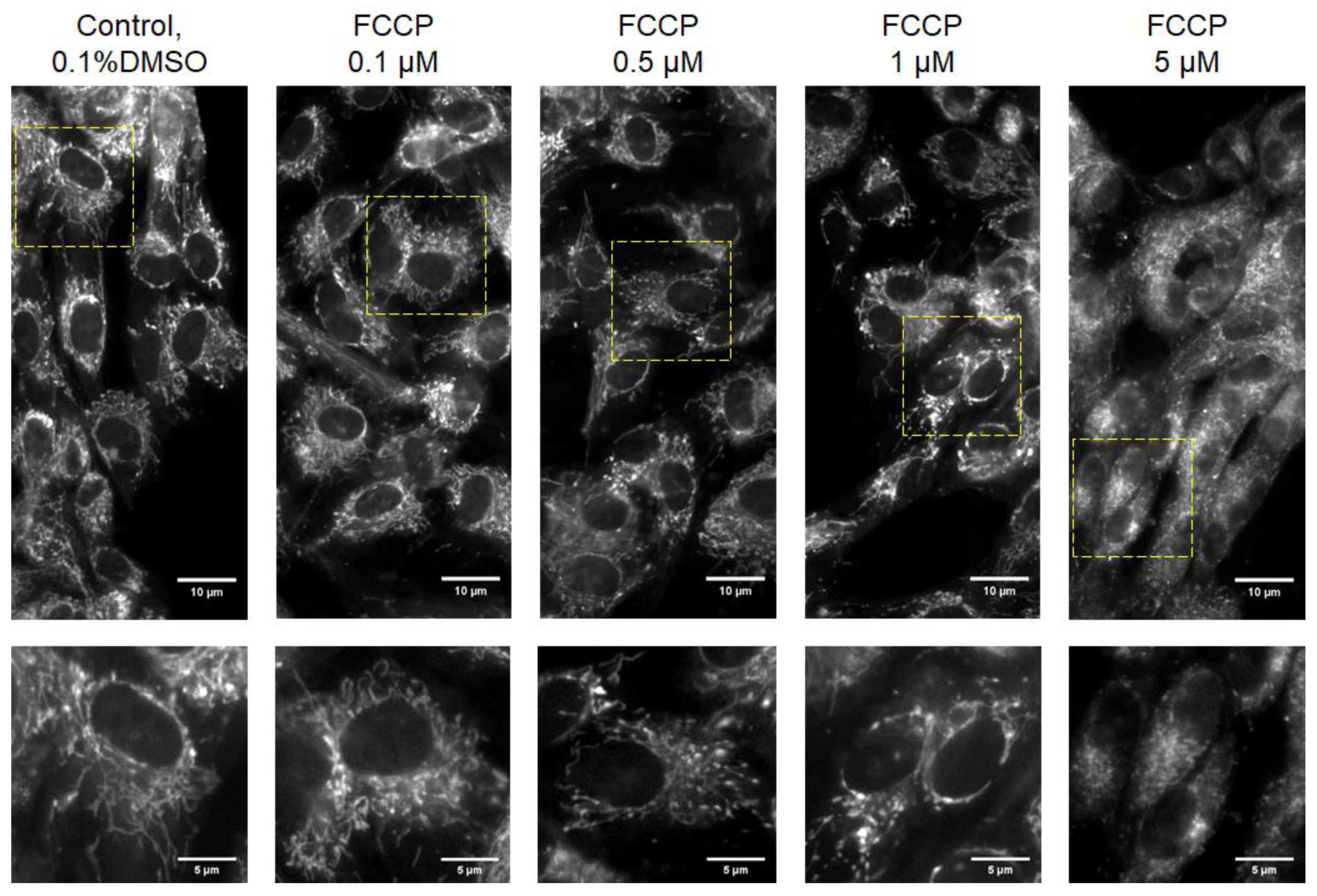 Sensors 21 03017 g004 Sensors 21 03017 g004