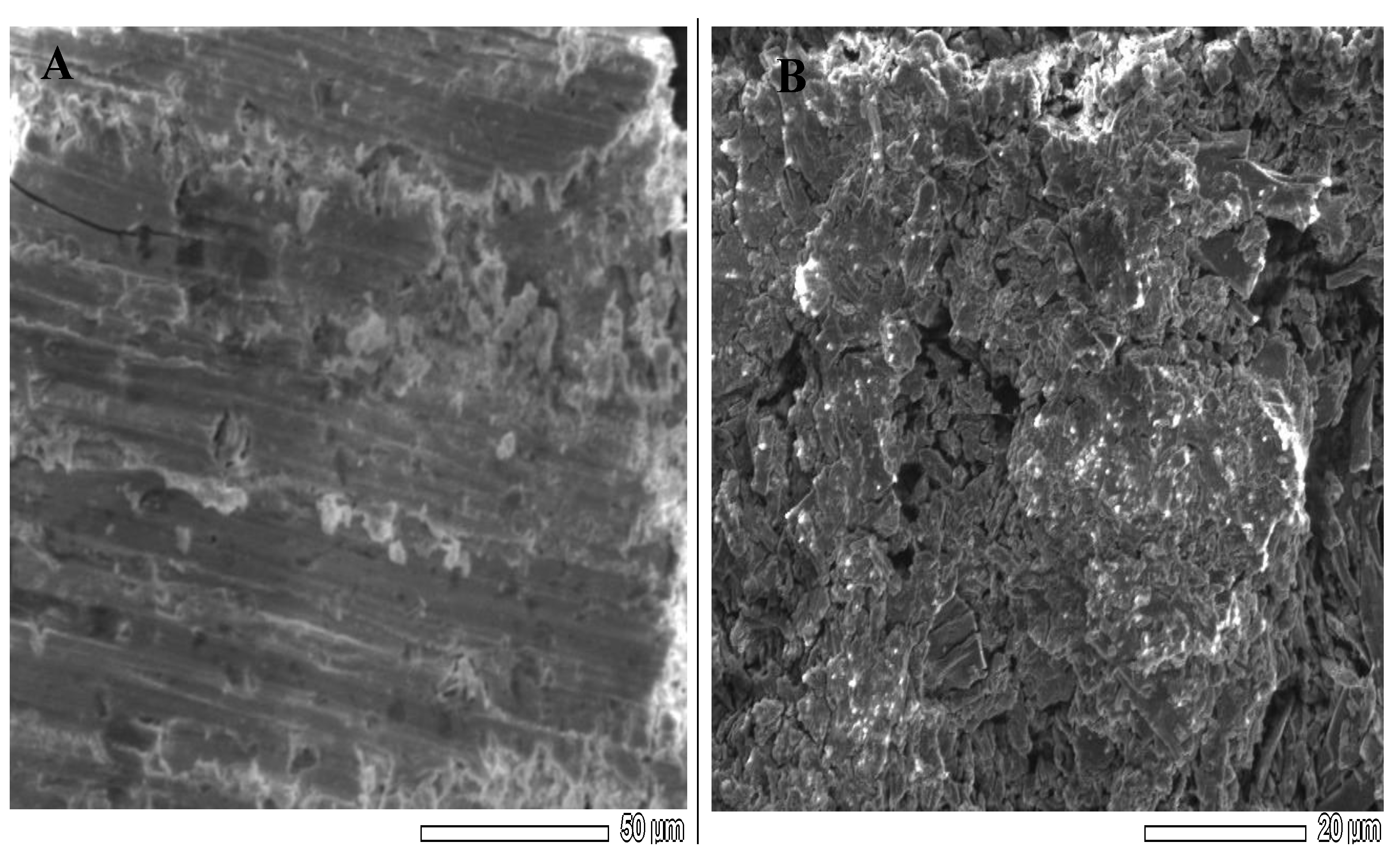 Sensors 21 03020 g004 Sensors 21 03020 g004