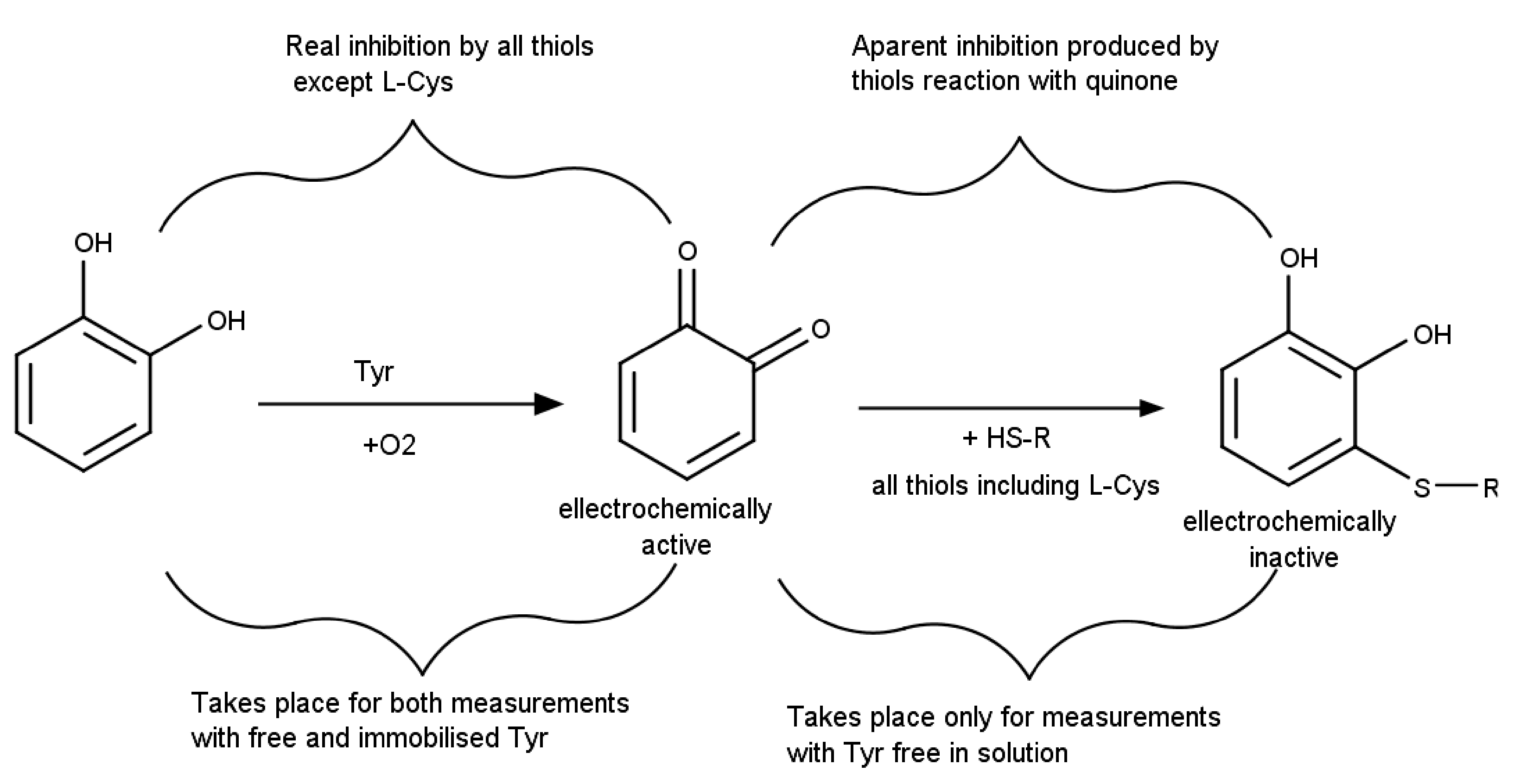 Sensors 21 03038 g002
