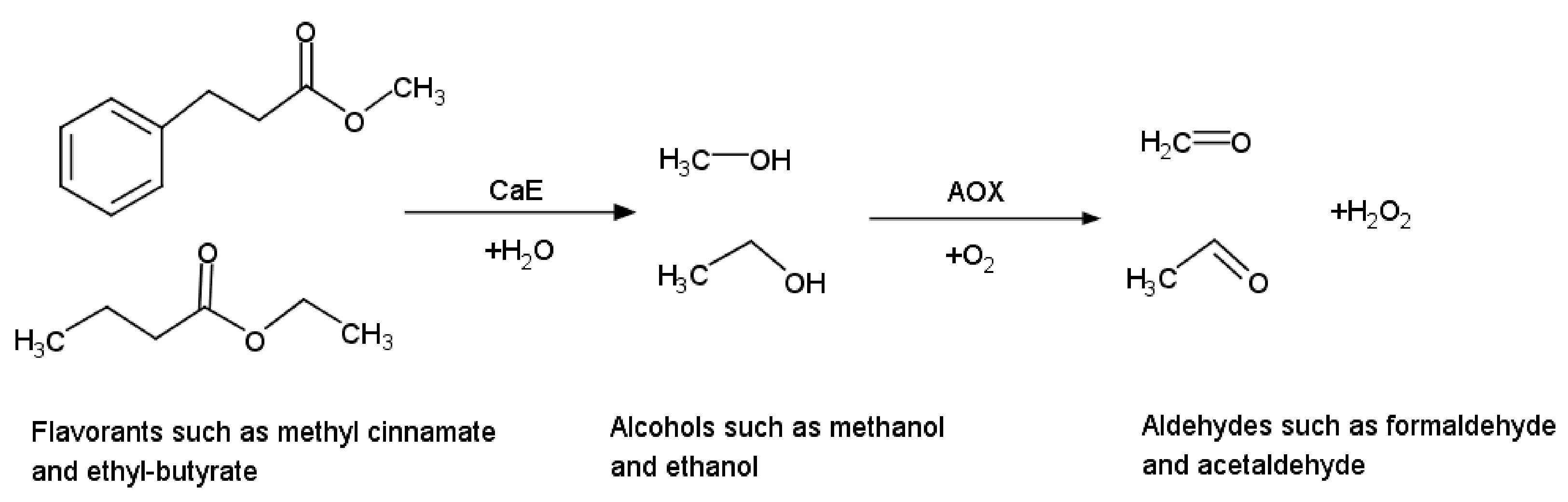 Sensors 21 03038 g007