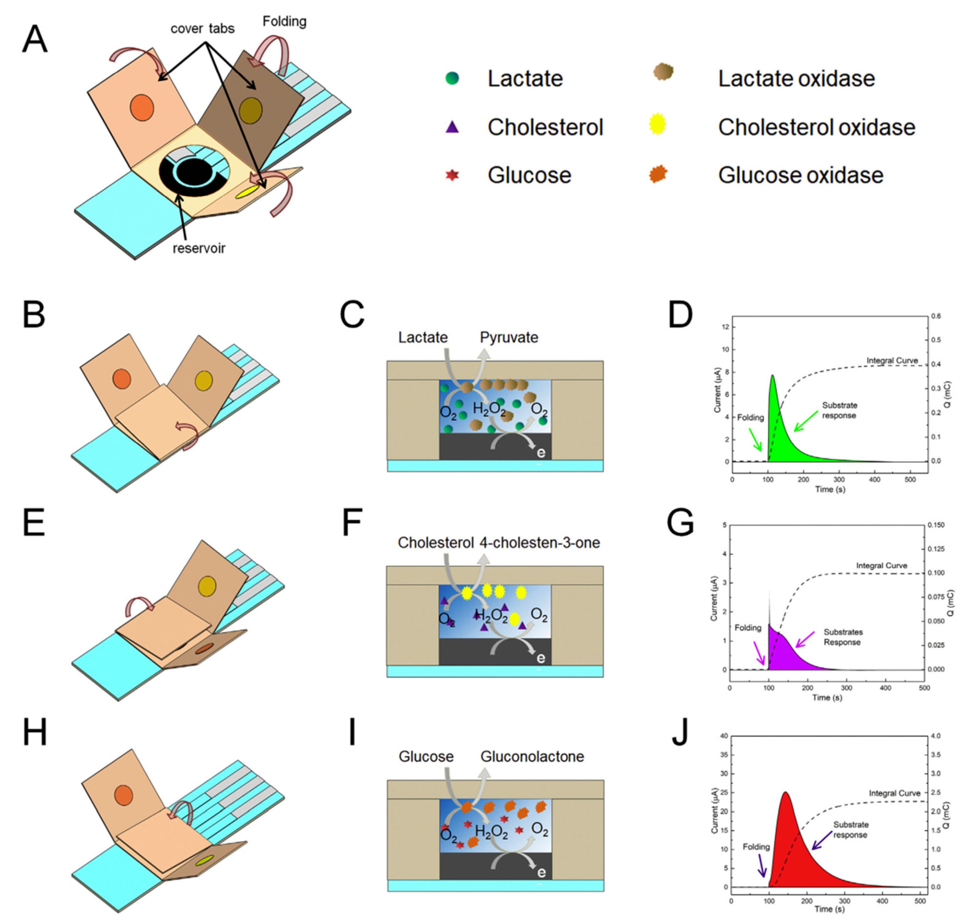 Sensors 21 03038 g008