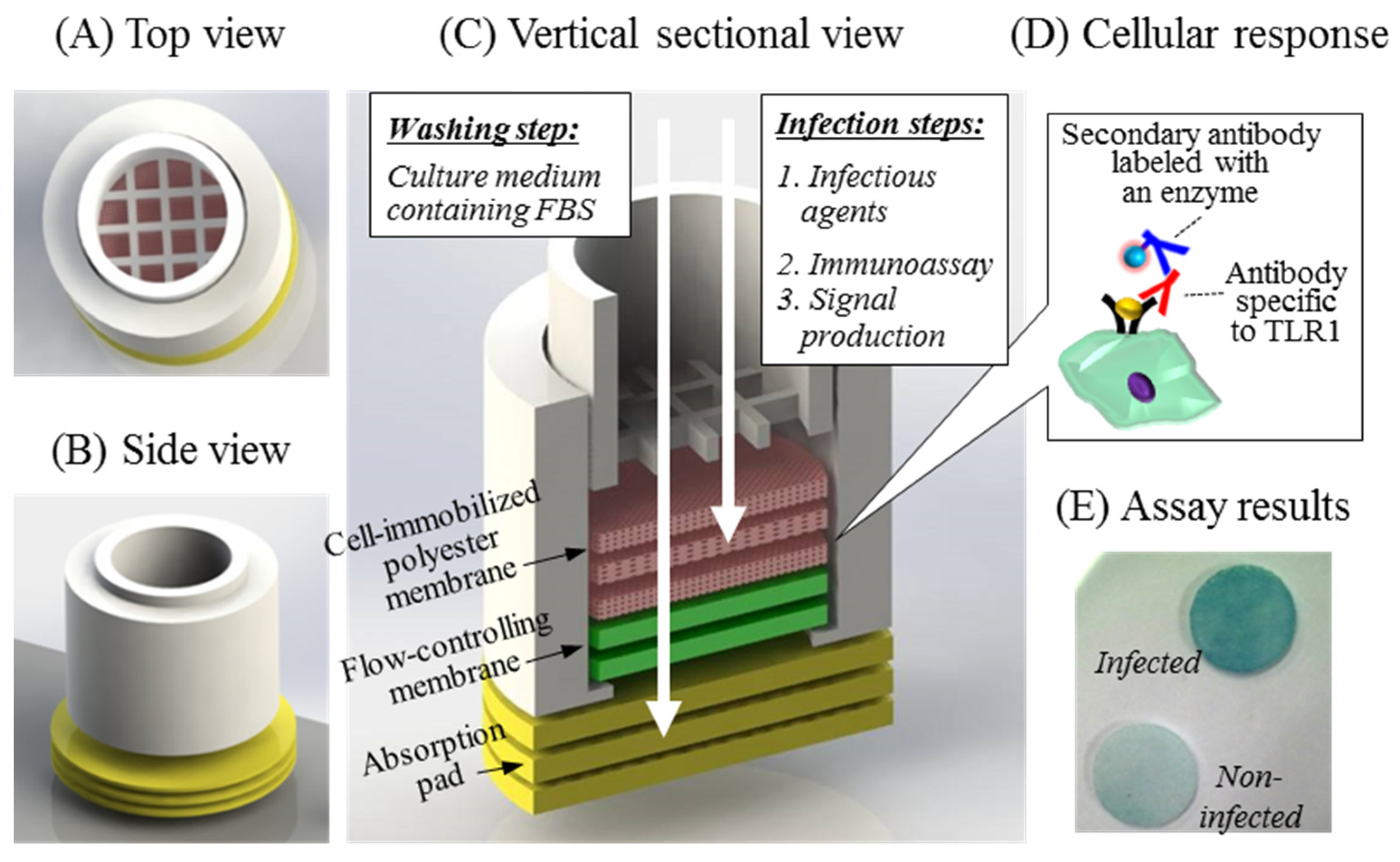 Sensors 21 03042 g001