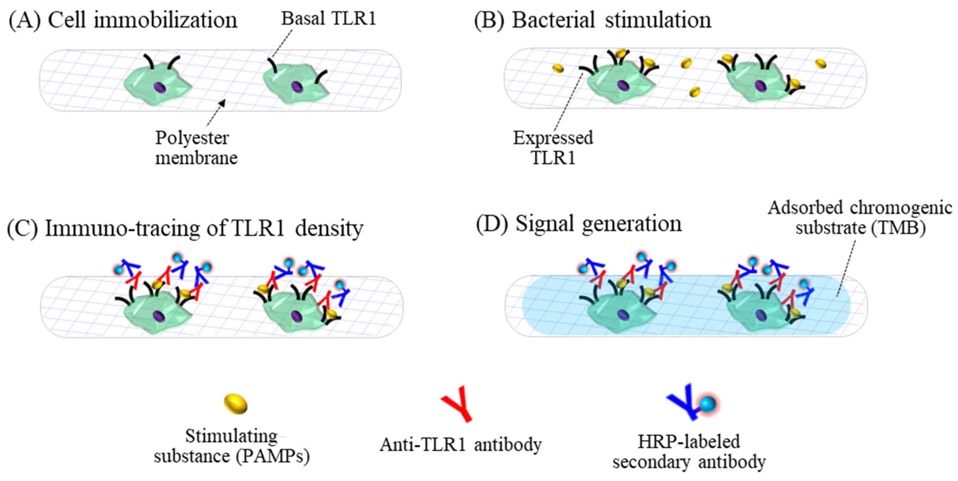 Sensors 21 03042 g002