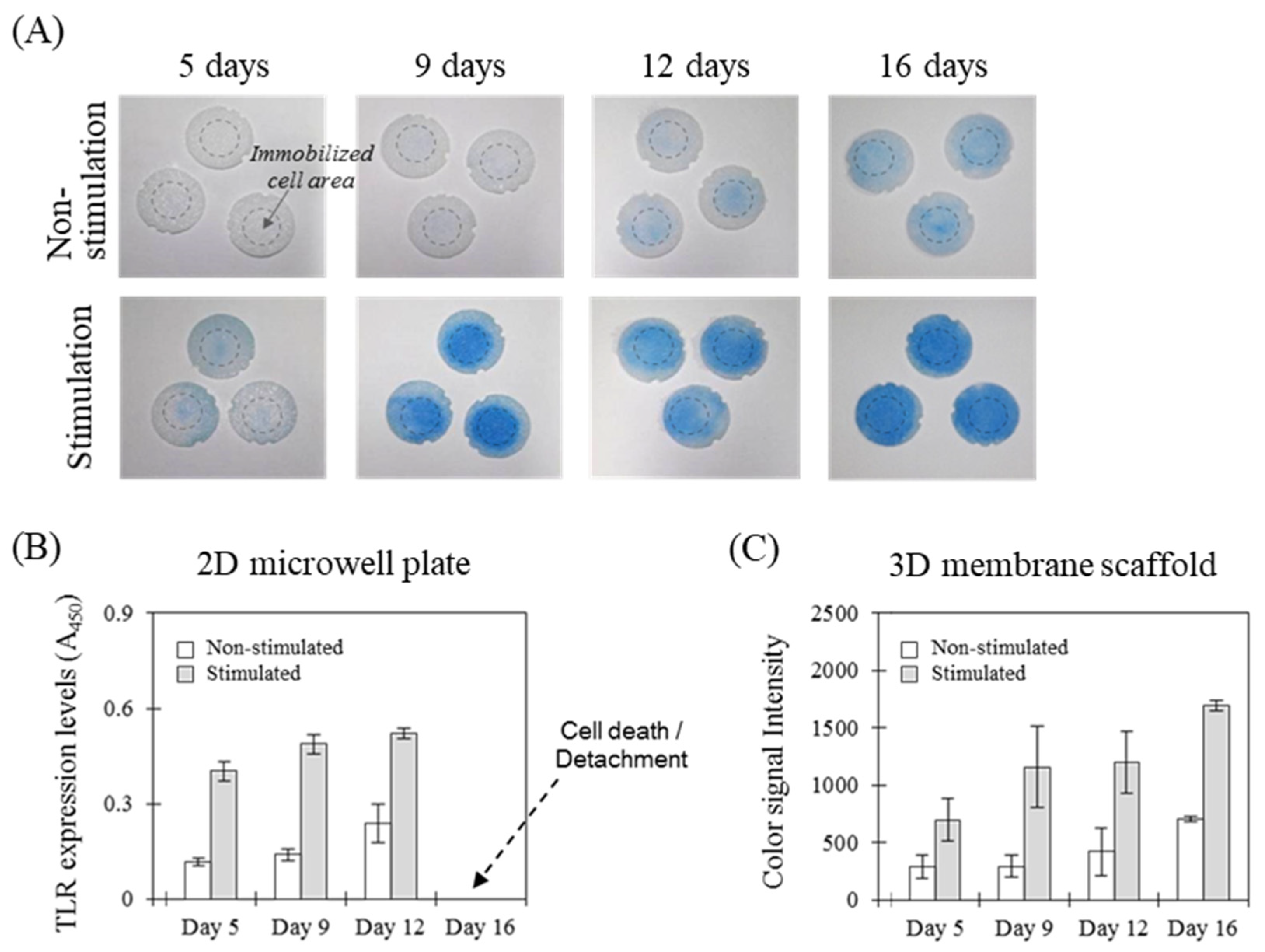 Sensors 21 03042 g005