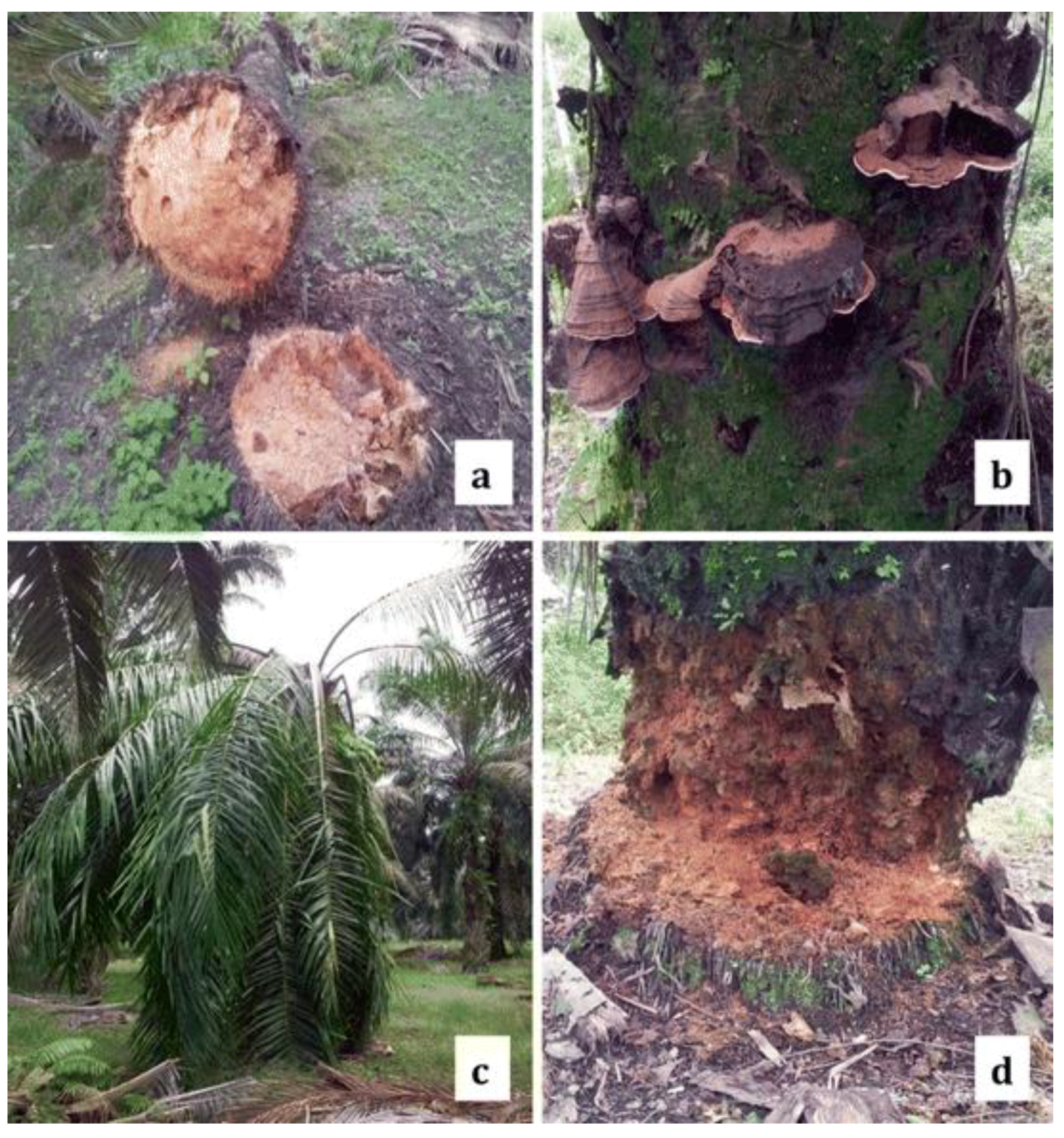 Sensors 21 03052 g001 Sensors 21 03052 g001