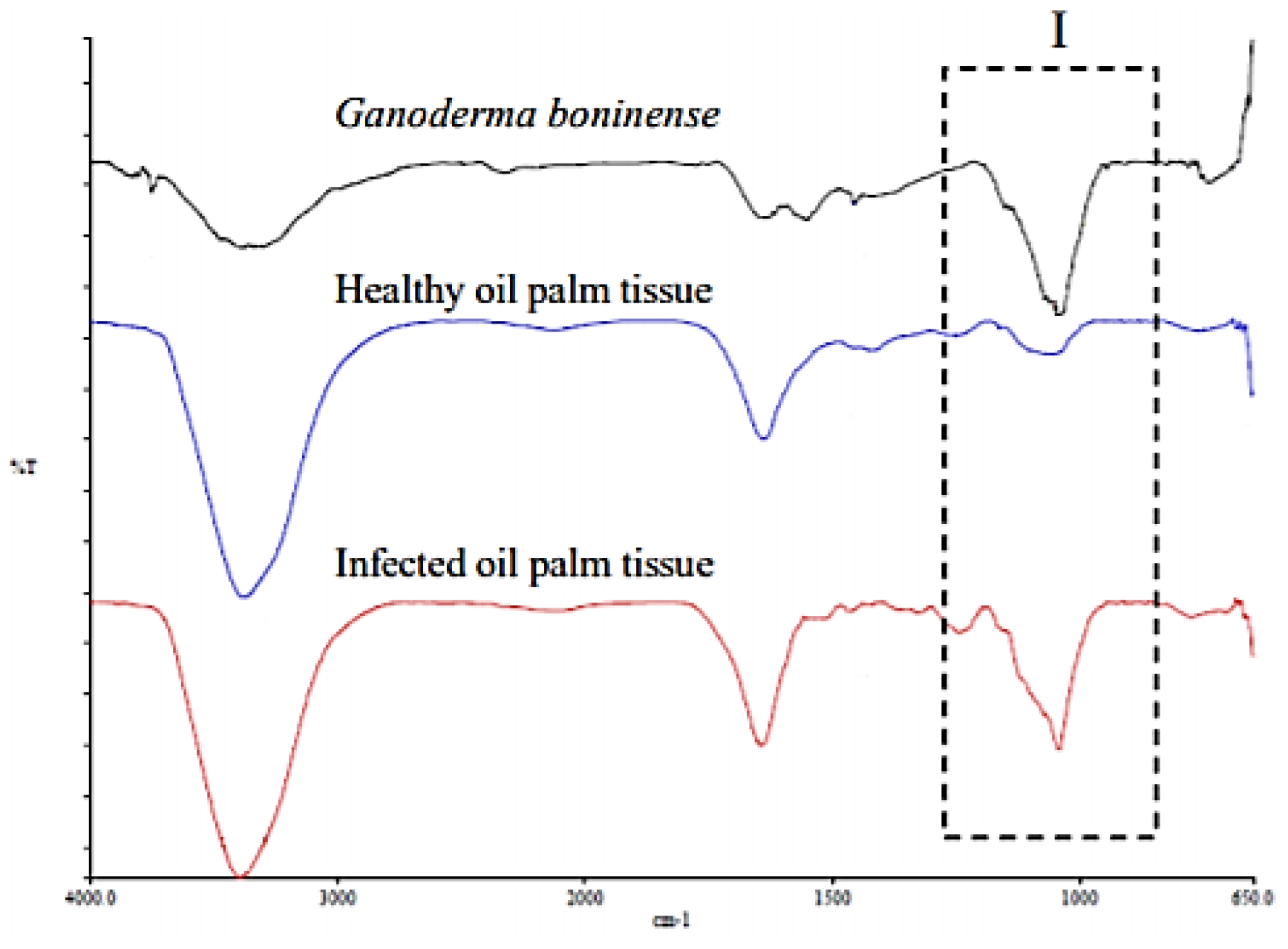 Sensors 21 03052 g002 Sensors 21 03052 g002