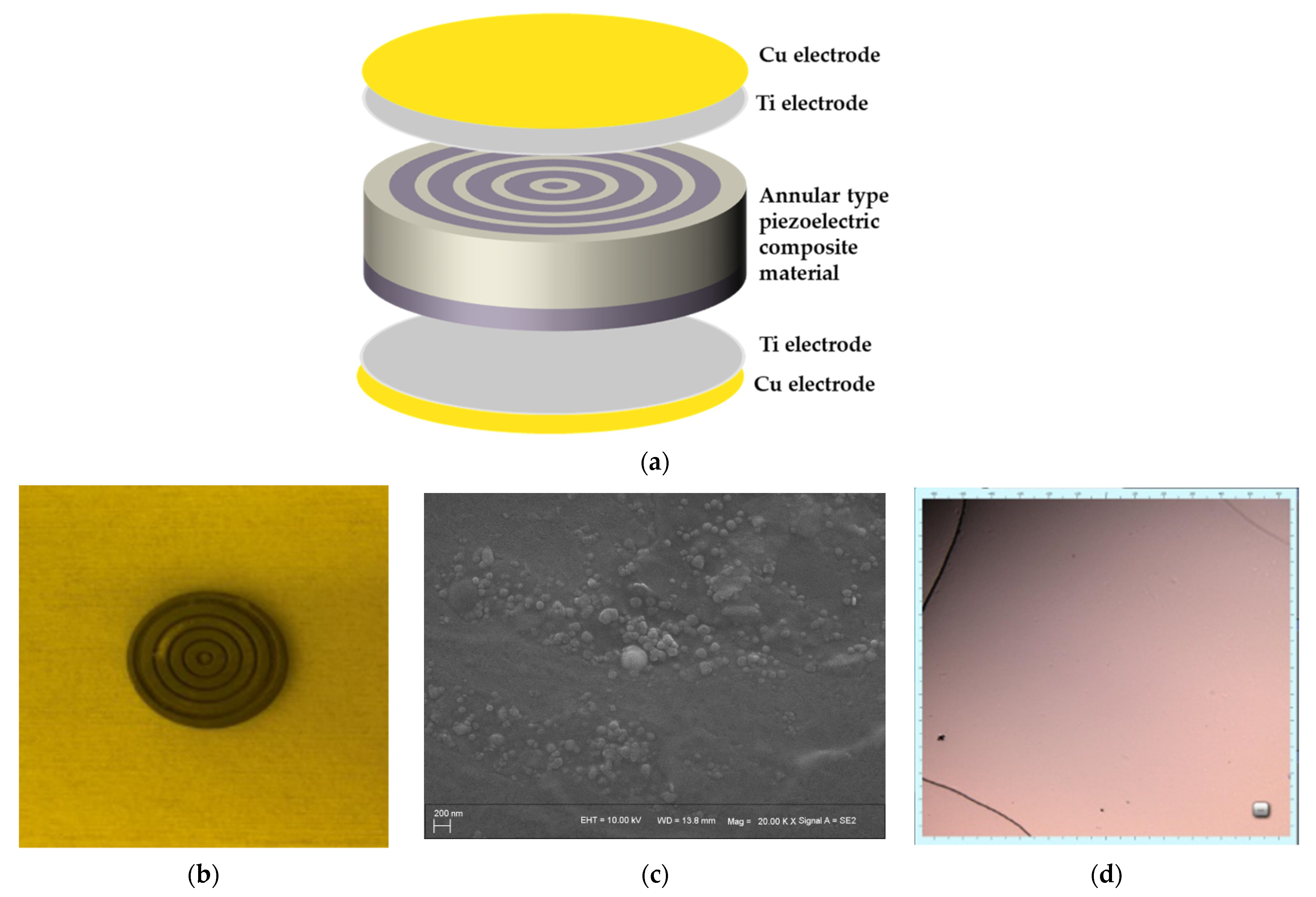 Sensors 21 03123 g002 Sensors 21 03123 g002