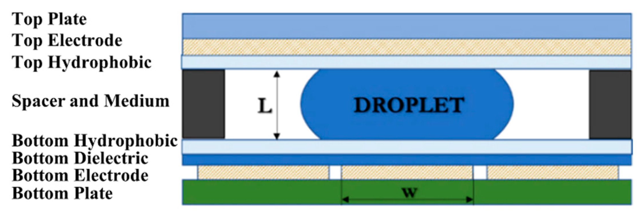Sensors 21 03126 g001 Sensors 21 03126 g001