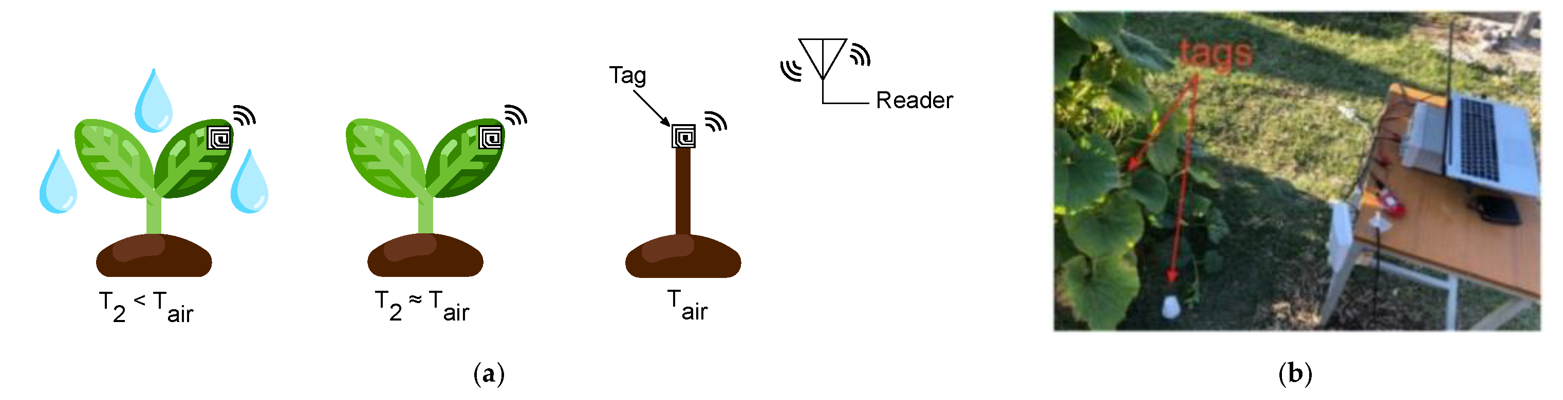 Sensors 21 03138 g012 550
