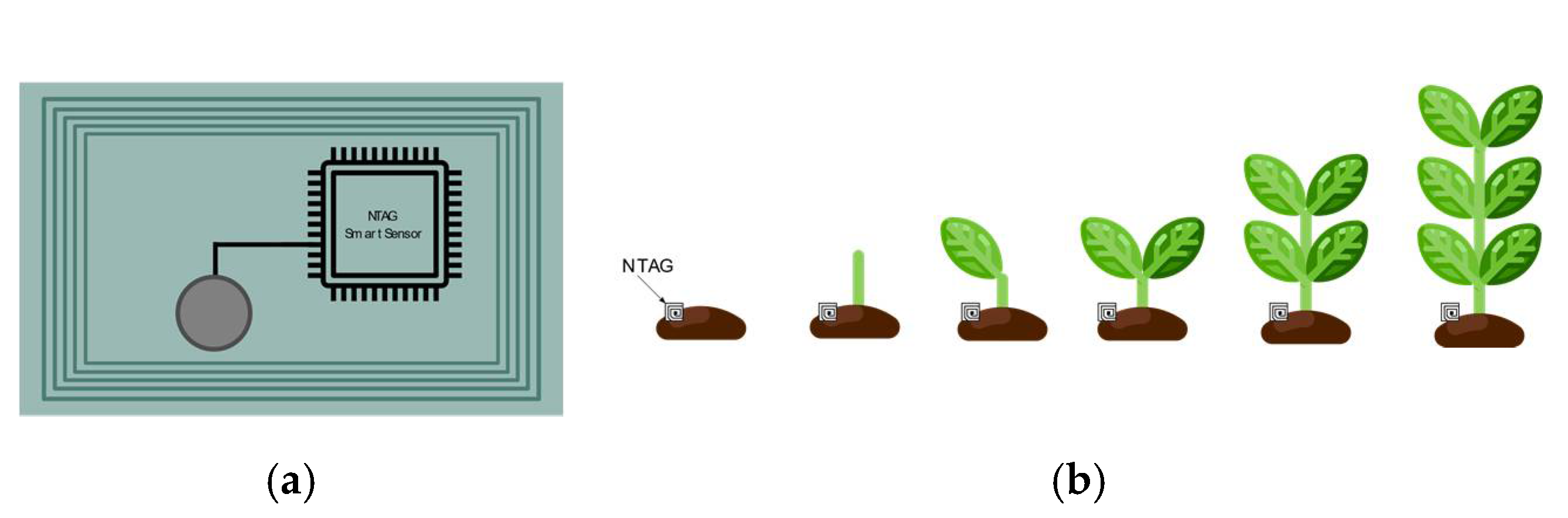 Sensors 21 03138 g017 550