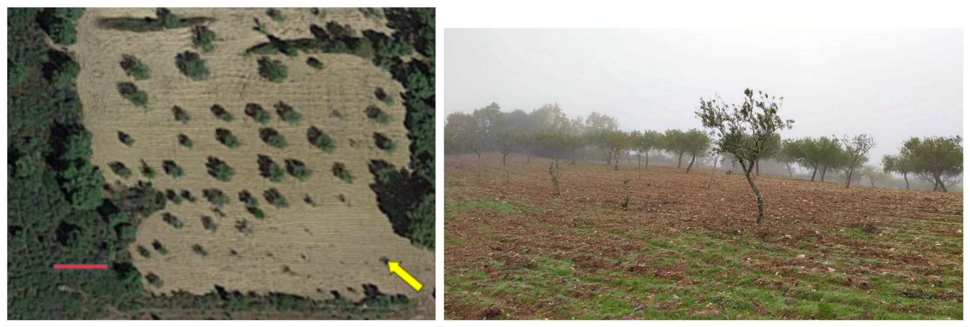 Sensors 21 03143 g018