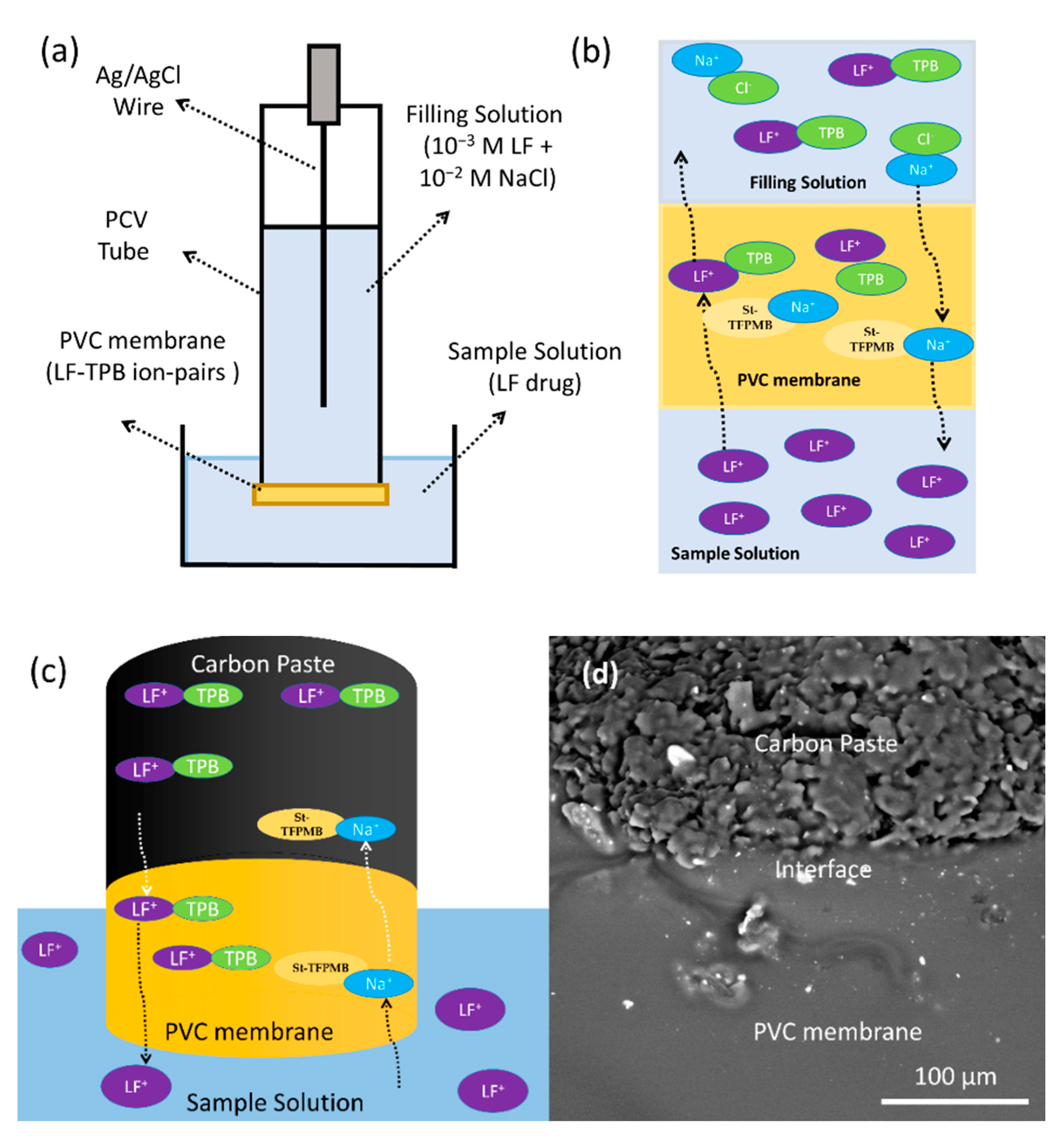 Sensors 21 03150 g003 Sensors 21 03150 g003