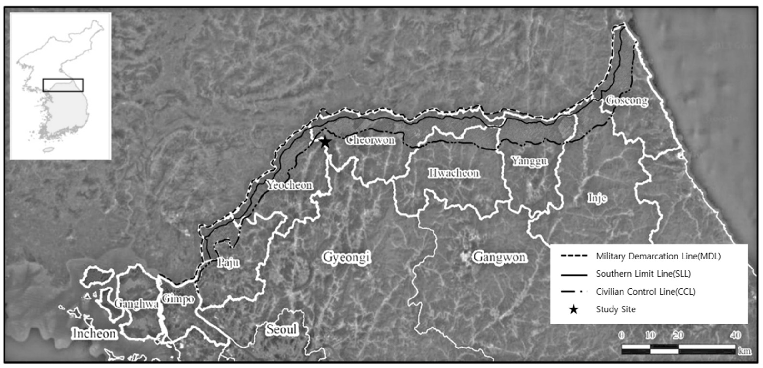 Sensors 21 03175 g001