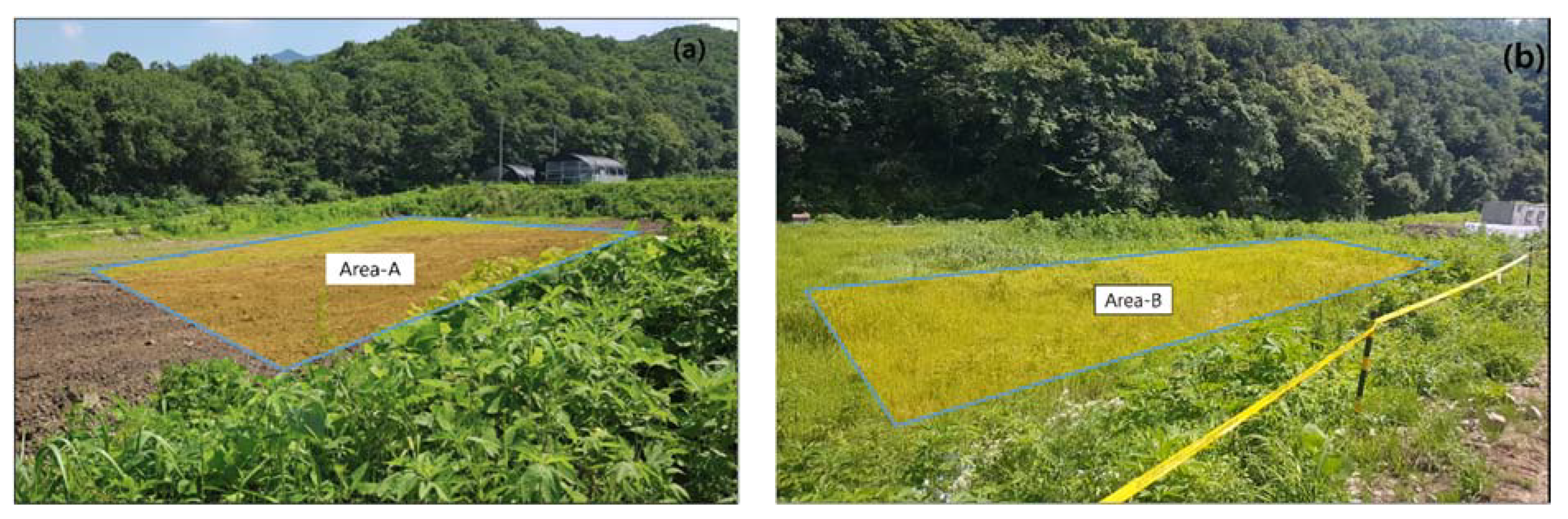 Sensors 21 03175 g007