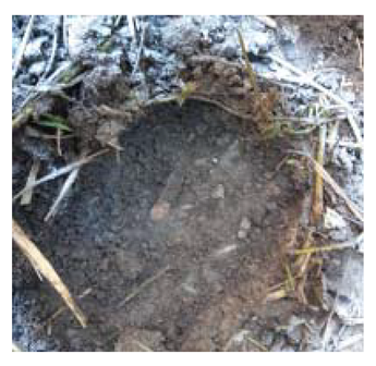 Sensors 21 03175 i009