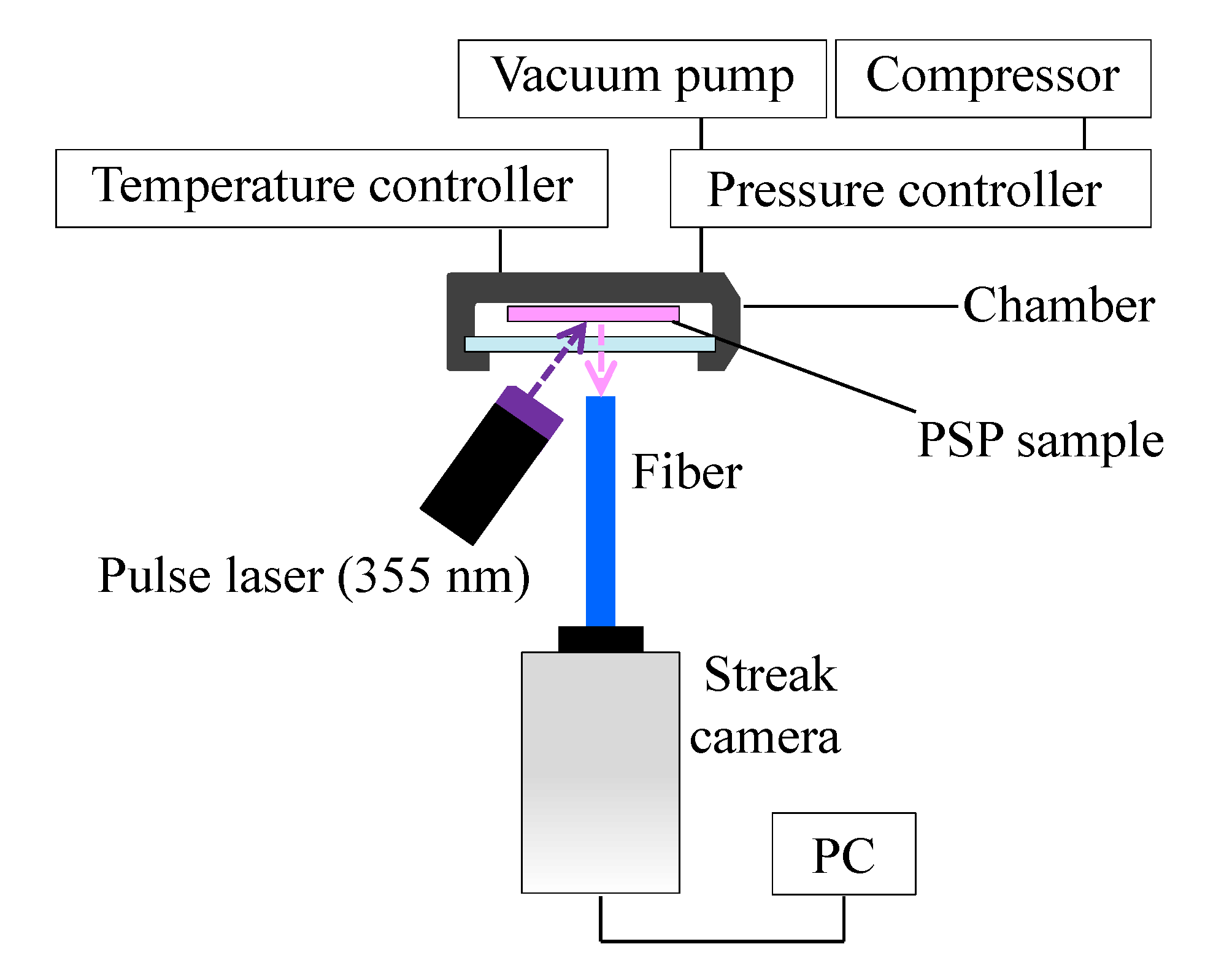 Sensors 21 03187 g005 Sensors 21 03187 g005