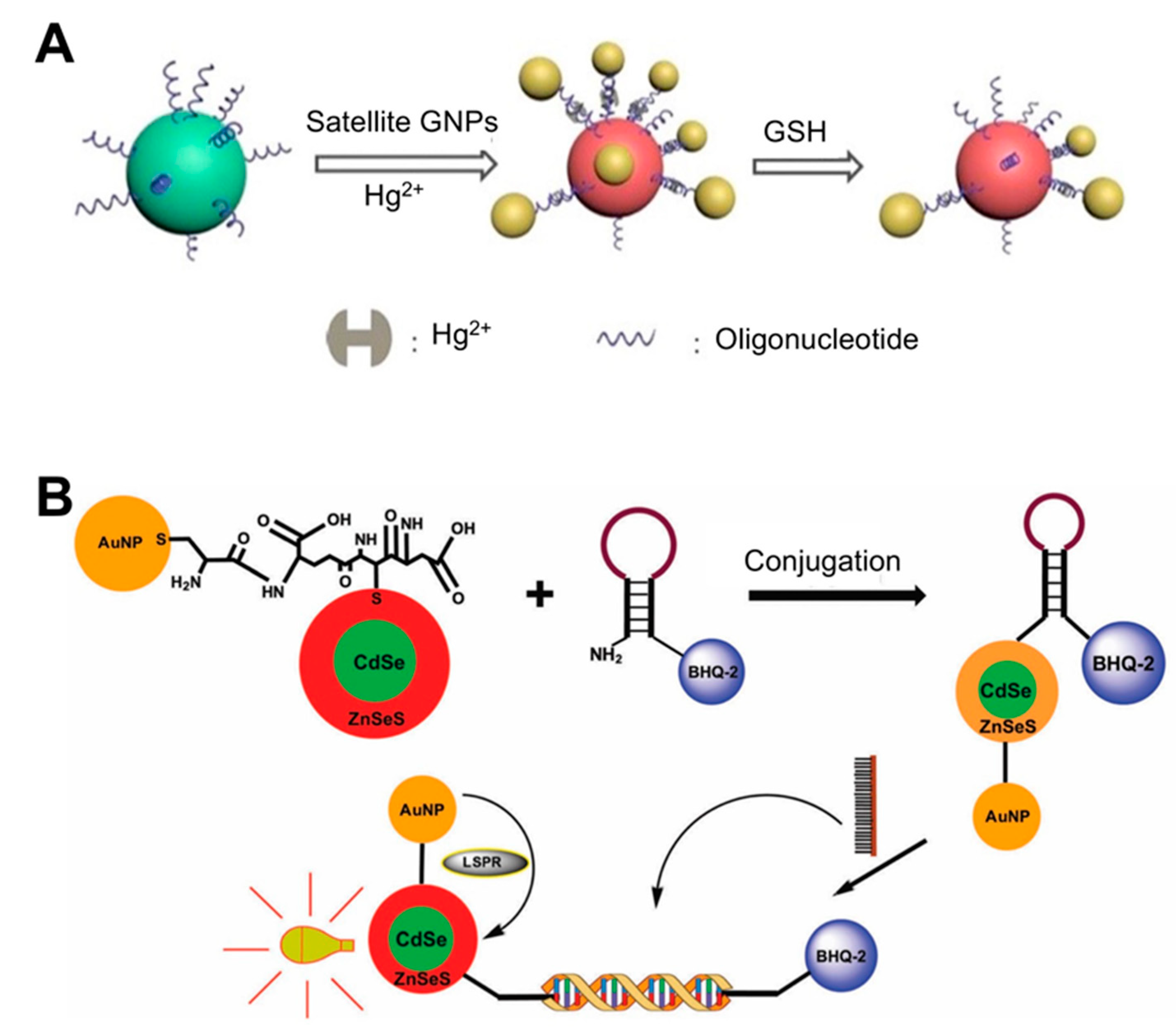 Sensors 21 03191 g001