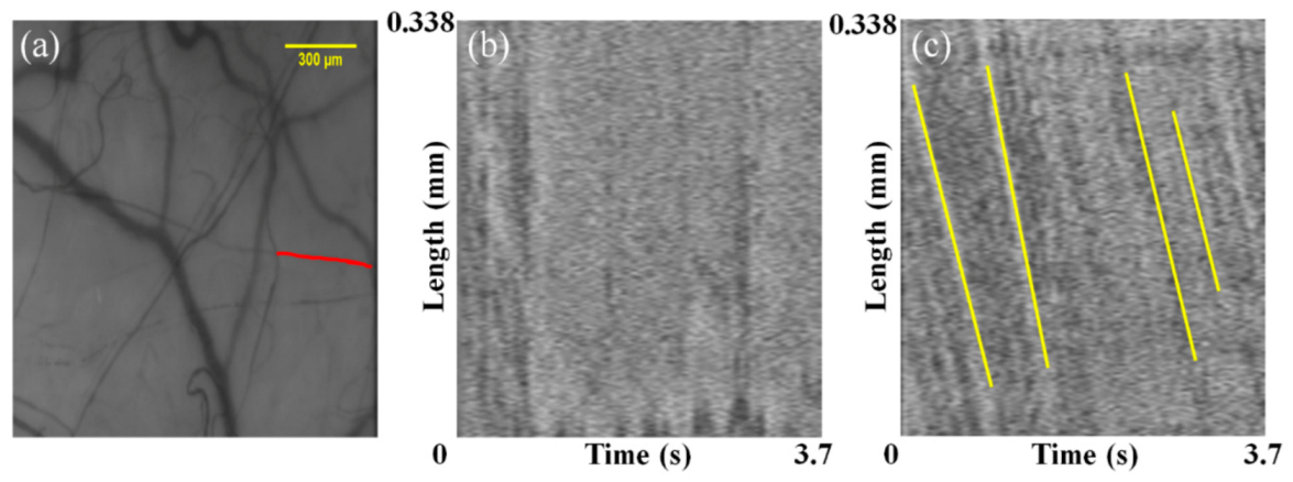 Sensors 21 03224 g008 Sensors 21 03224 g008