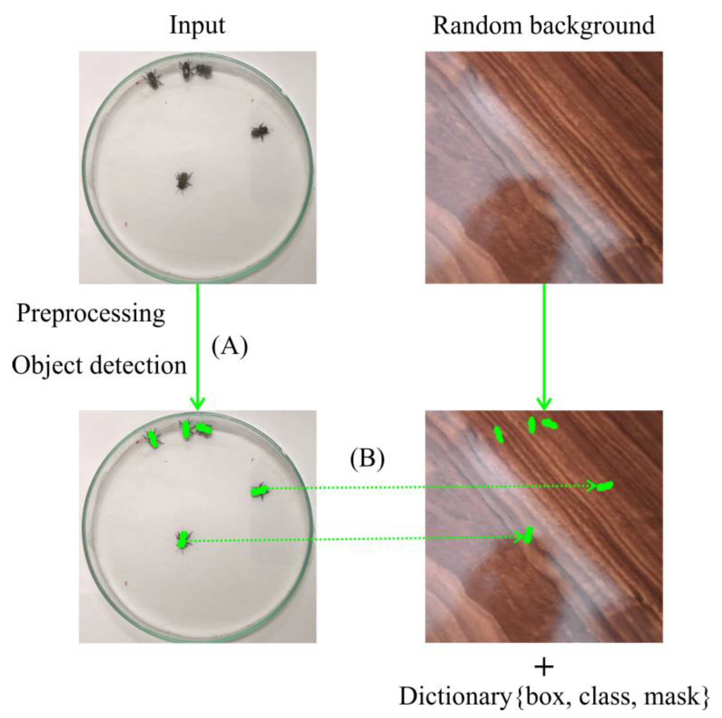 Sensors 21 03237 g005 Sensors 21 03237 g005