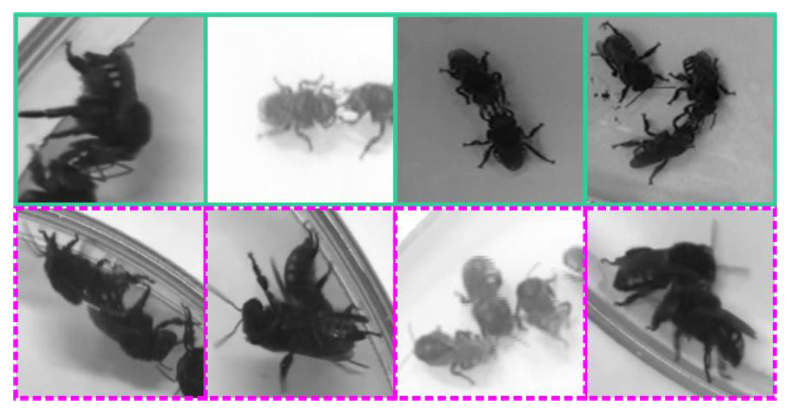 Sensors 21 03237 g006 Sensors 21 03237 g006