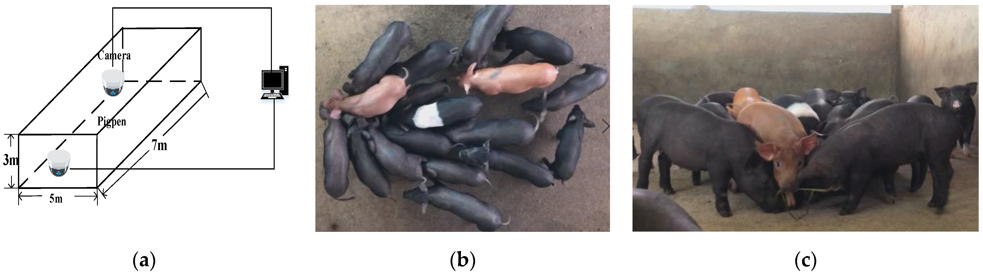 Sensors 21 03251 g001