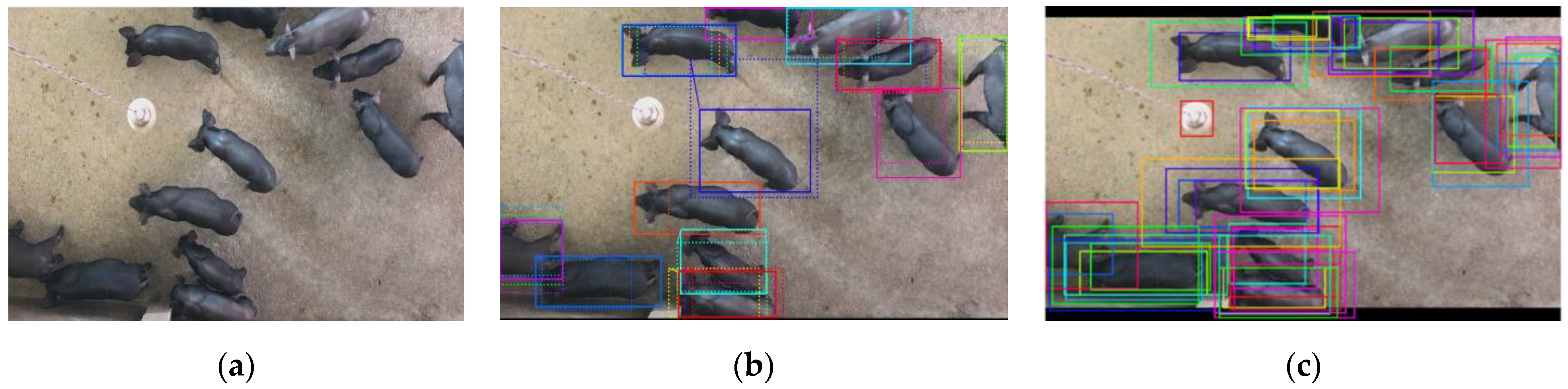 Sensors 21 03251 g005