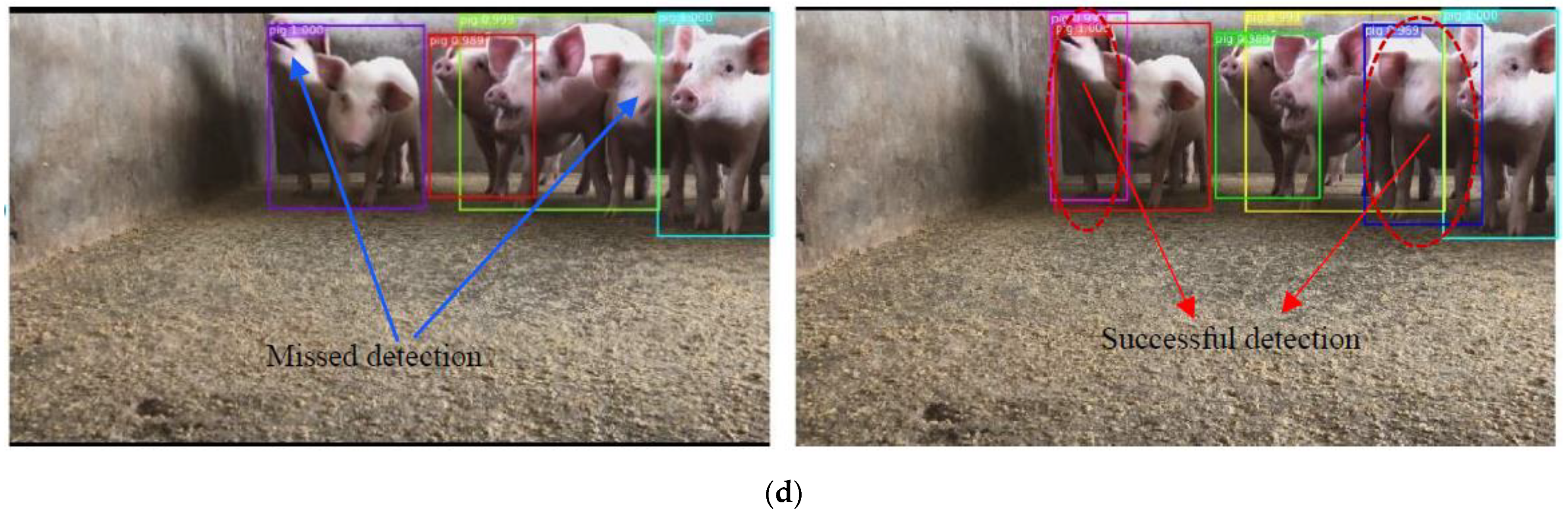 Sensors 21 03251 g012b