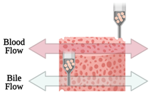 Sensors 21 03304 i014 Sensors 21 03304 i014